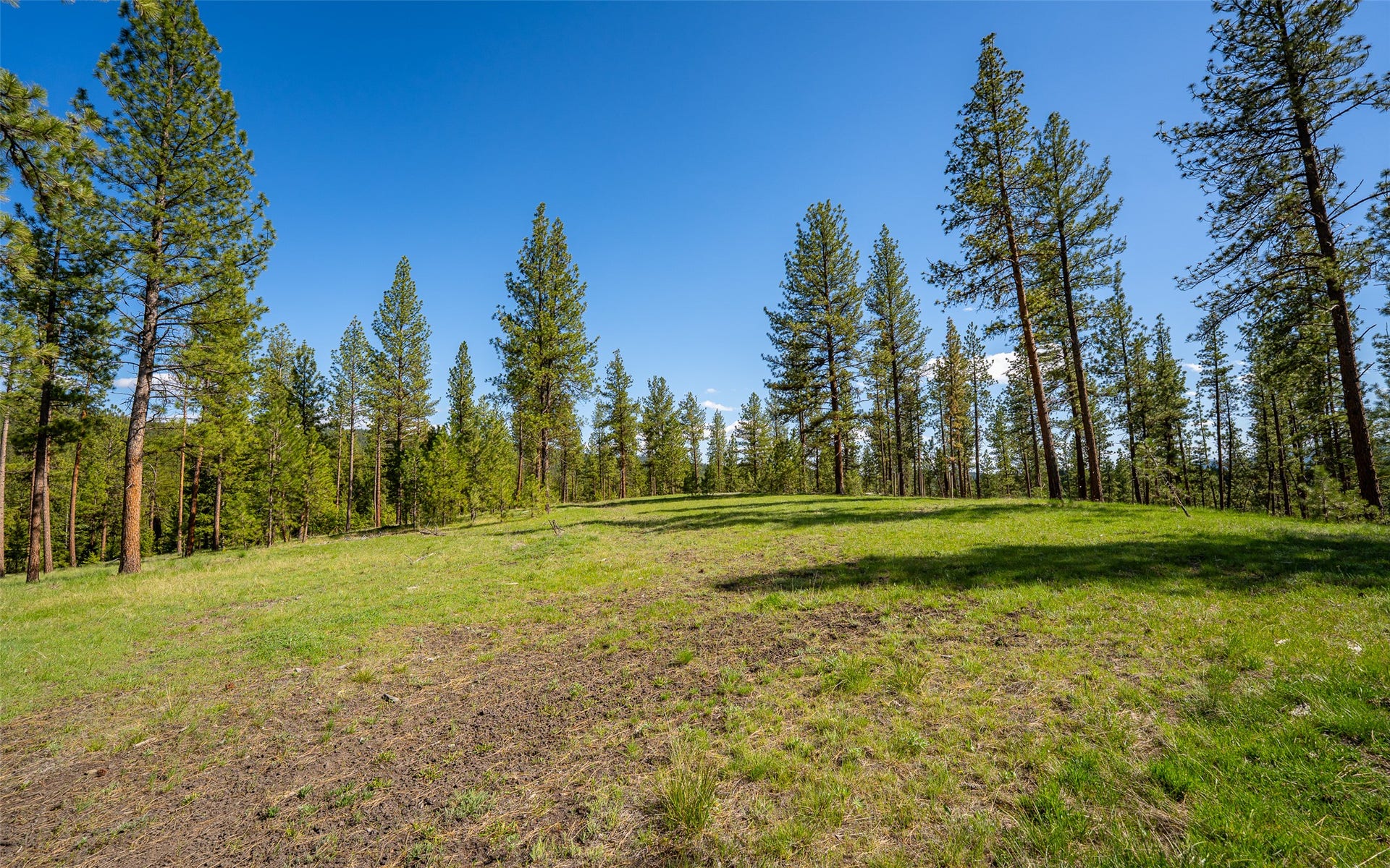 3605 Hubbart Dam Road, Marion, MT 59925 3605 Hubbart Dam Road, Marion, MT 59925