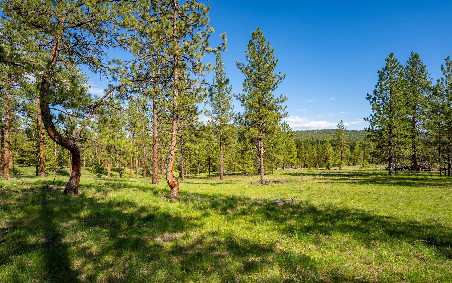 3605 Hubbart Dam Road, Marion, MT 59925 3605 Hubbart Dam Road, Marion, MT 59925