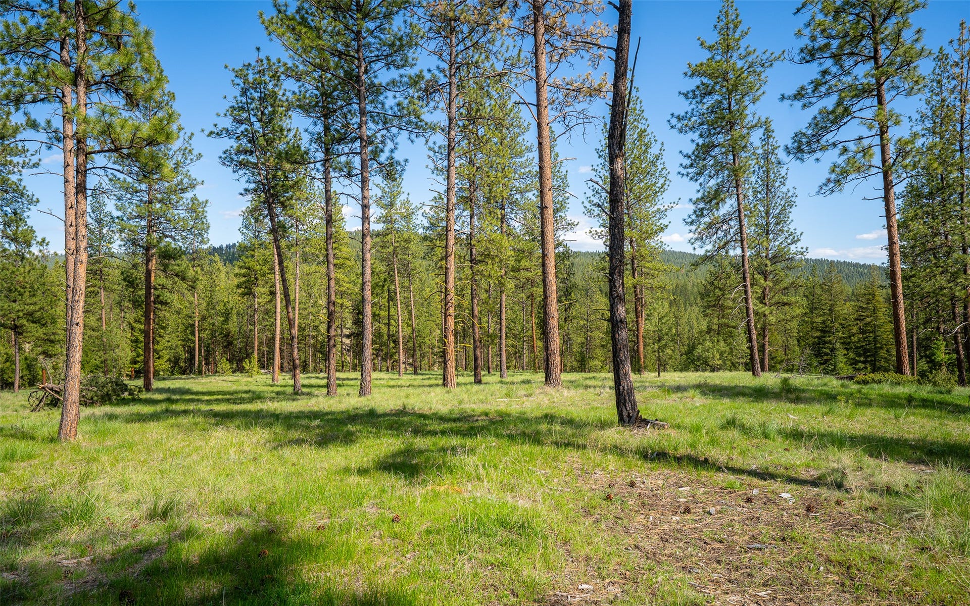 3605 Hubbart Dam Road, Marion, MT 59925 3605 Hubbart Dam Road, Marion, MT 59925