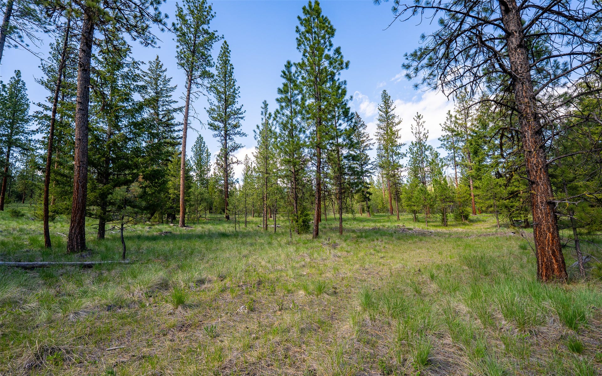 3605 Hubbart Dam Road, Marion, MT 59925 3605 Hubbart Dam Road, Marion, MT 59925