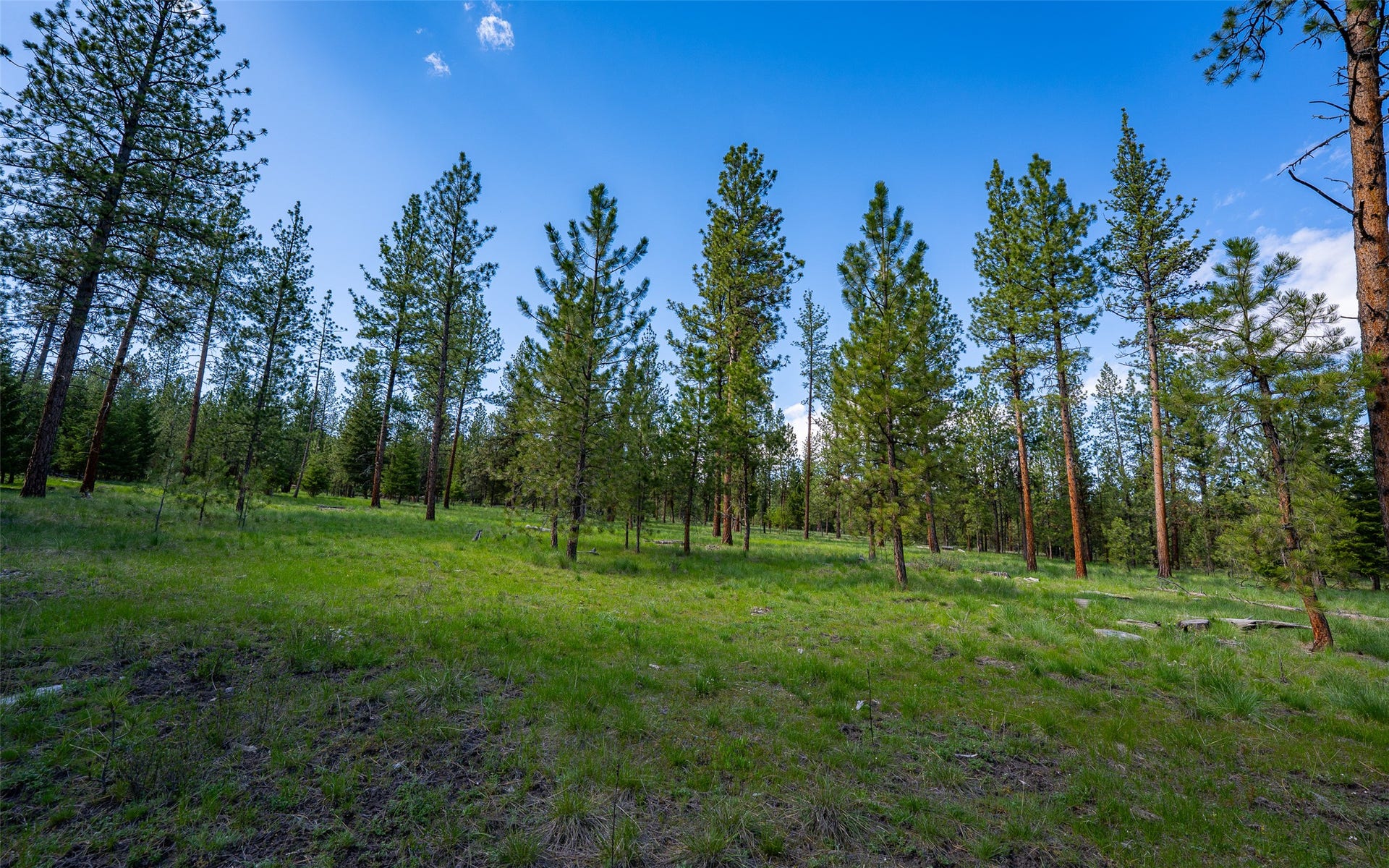 3605 Hubbart Dam Road, Marion, MT 59925 3605 Hubbart Dam Road, Marion, MT 59925