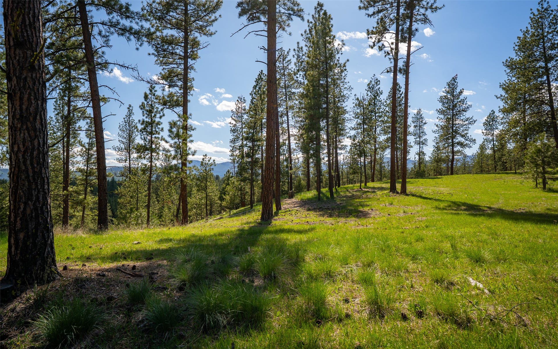 3605 Hubbart Dam Road, Marion, MT 59925 3605 Hubbart Dam Road, Marion, MT 59925
