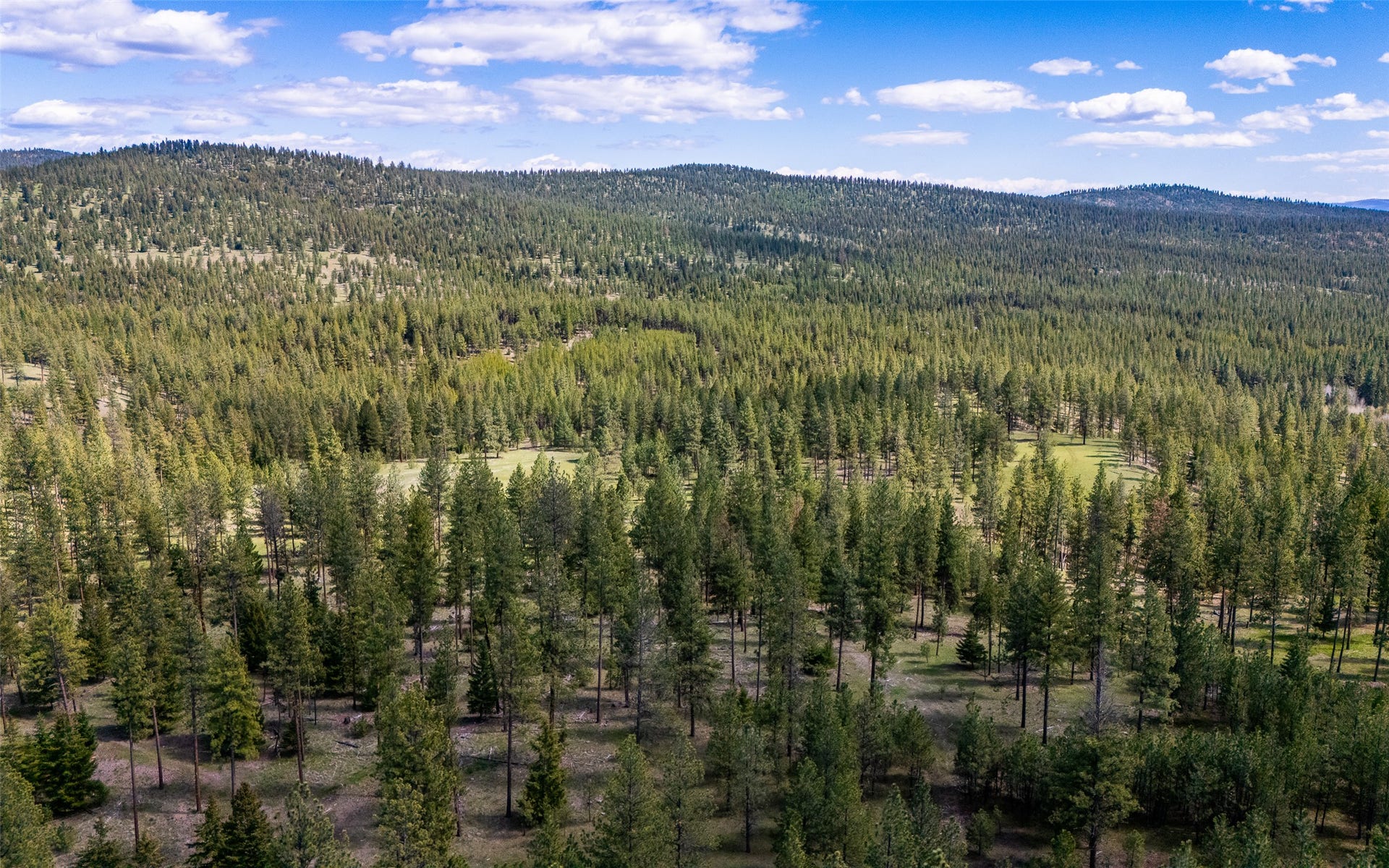 3605 Hubbart Dam Road, Marion, MT 59925 3605 Hubbart Dam Road, Marion, MT 59925