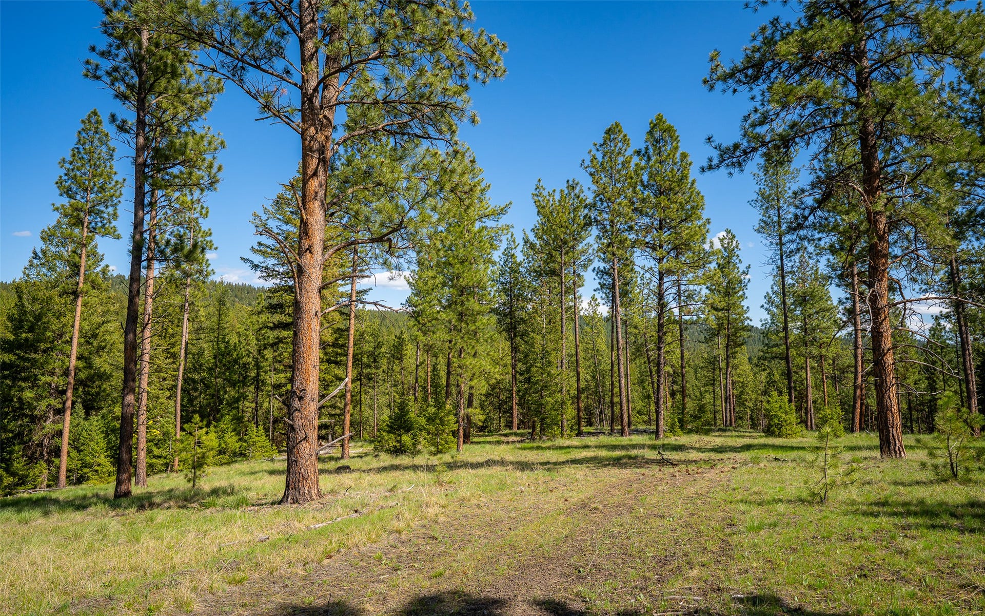 3605 Hubbart Dam Road, Marion, MT 59925 3605 Hubbart Dam Road, Marion, MT 59925