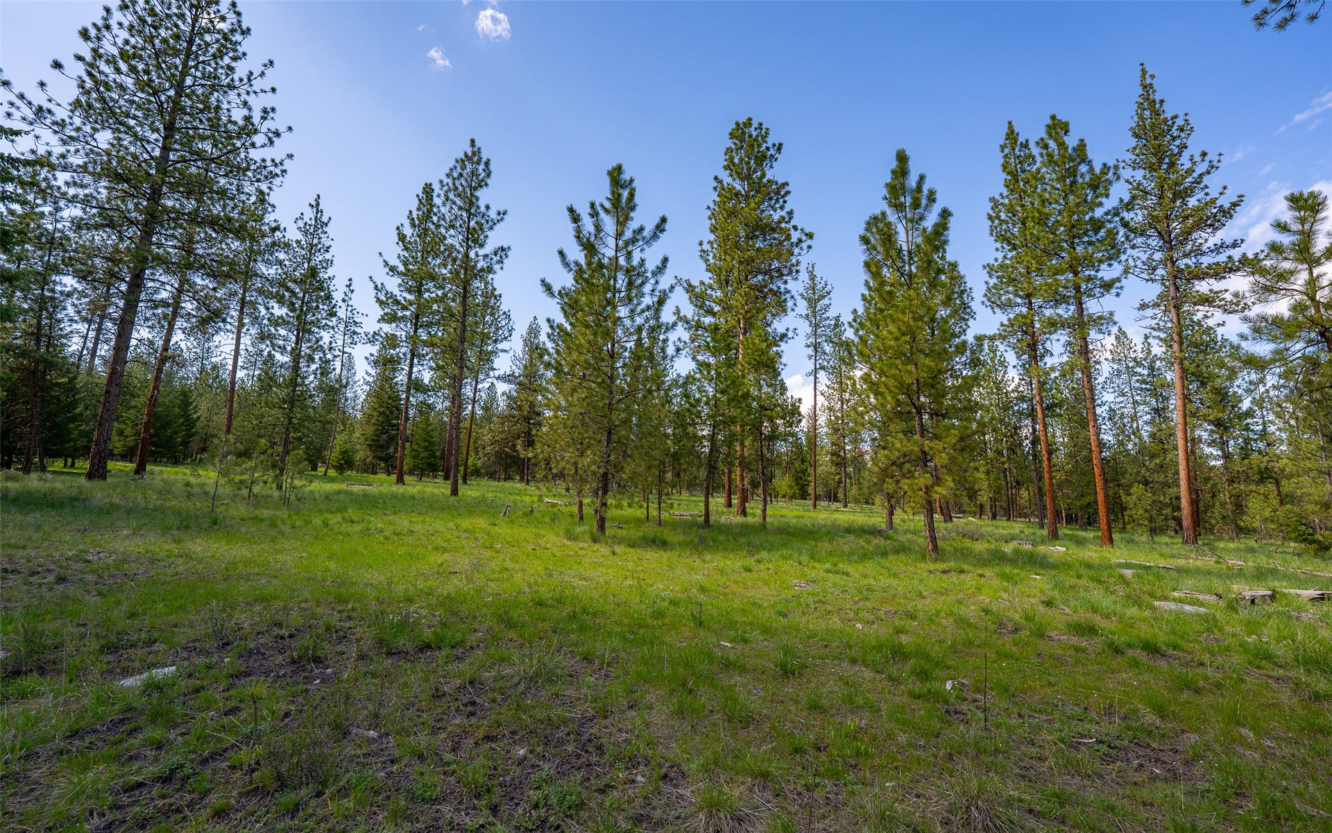 3605 Hubbart Dam Road, Marion, MT 59925 3605 Hubbart Dam Road, Marion, MT 59925