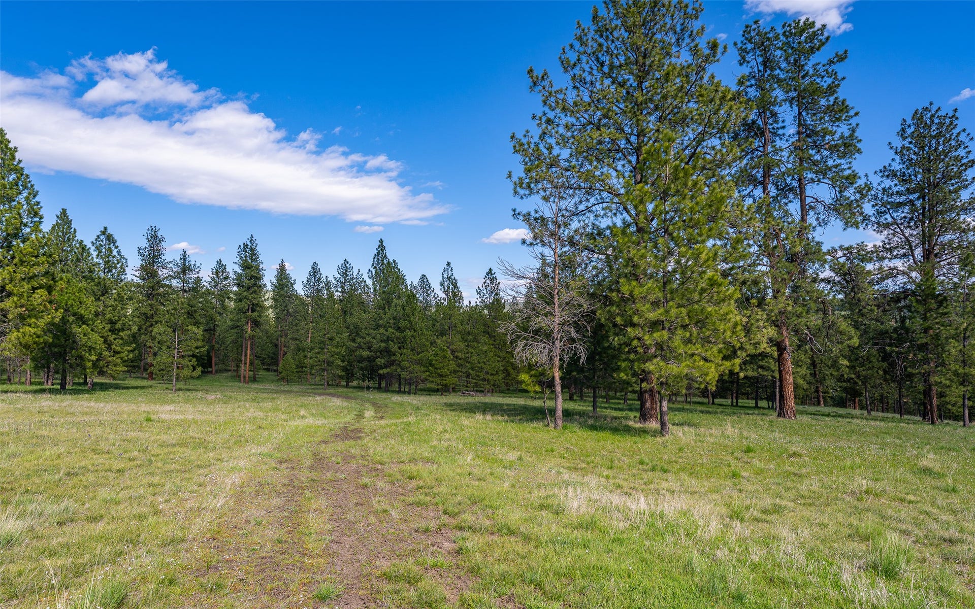 3605 Hubbart Dam Road, Marion, MT 59925 3605 Hubbart Dam Road, Marion, MT 59925