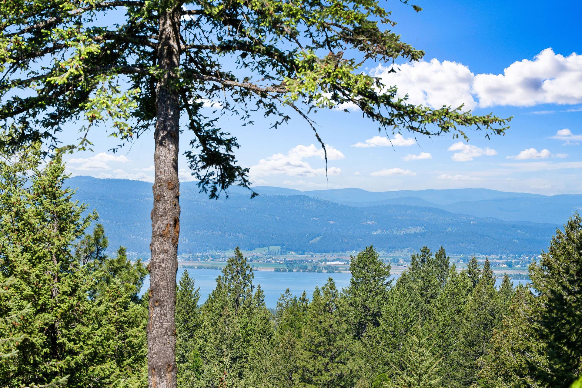 599 Pommel Drive, Bigfork, MT 59911 And amazing lake views