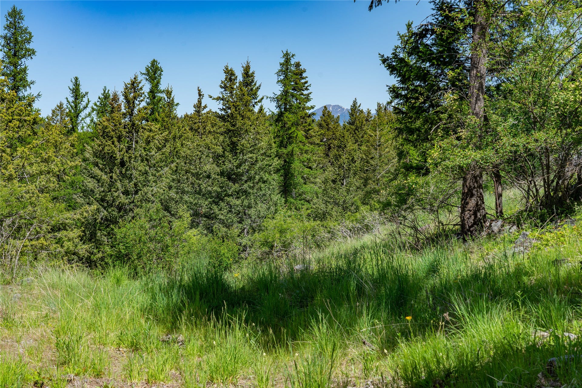1193 Whispering Rock Road, Bigfork, MT 59911 1193 Whispering Rock Road, Bigfork, MT 59911