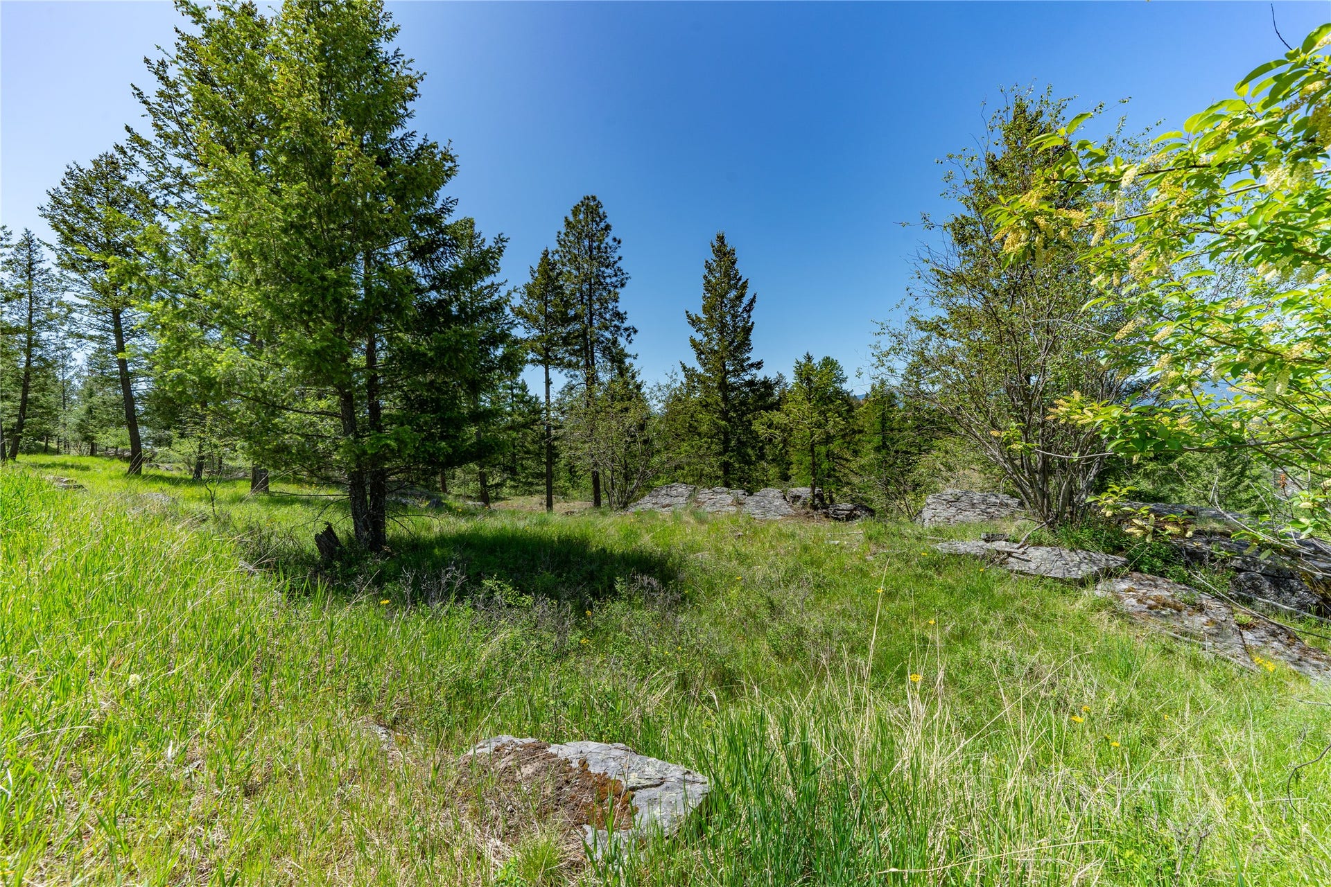 1193 Whispering Rock Road, Bigfork, MT 59911 1193 Whispering Rock Road, Bigfork, MT 59911