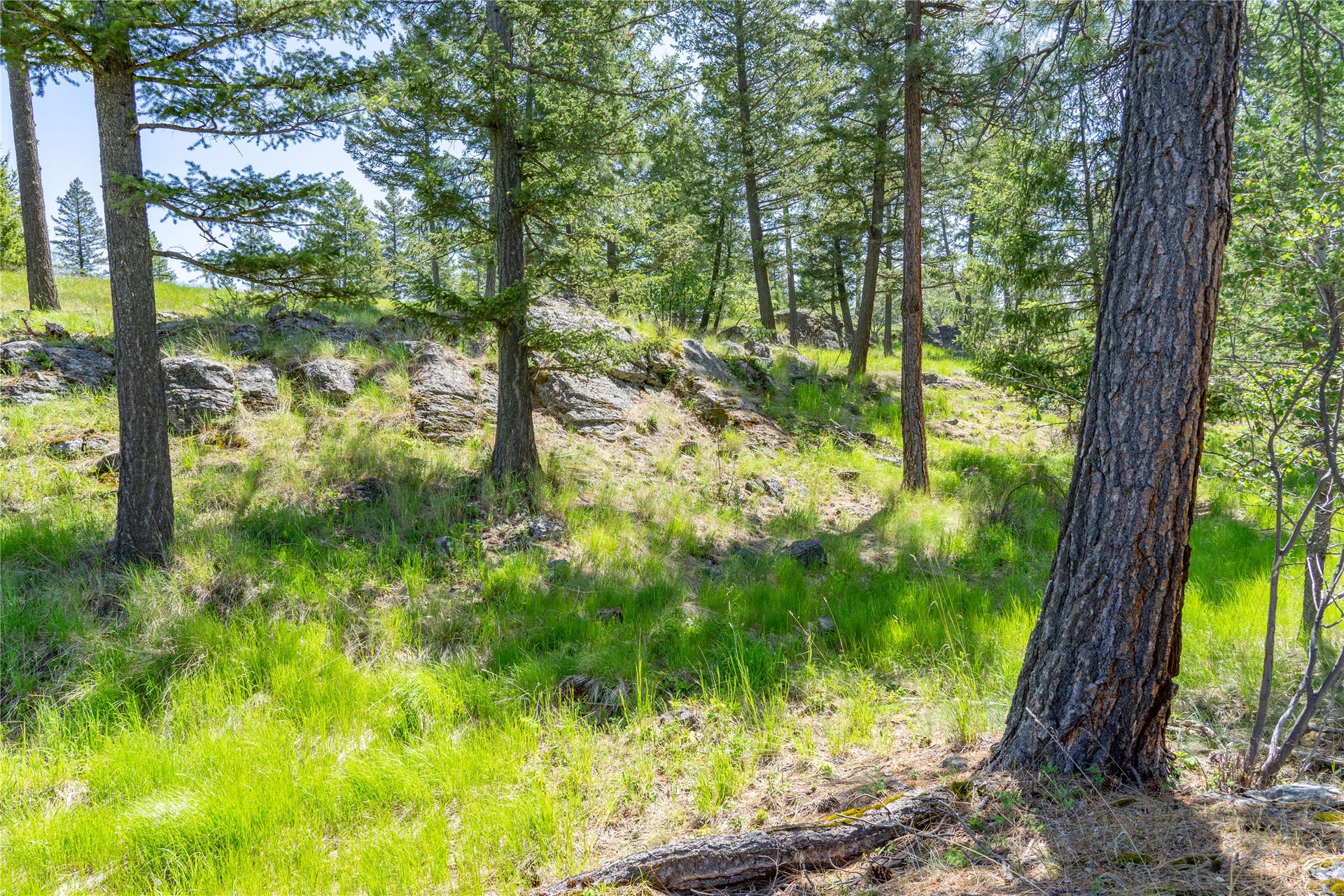 1193 Whispering Rock Road, Bigfork, MT 59911 1193 Whispering Rock Road, Bigfork, MT 59911