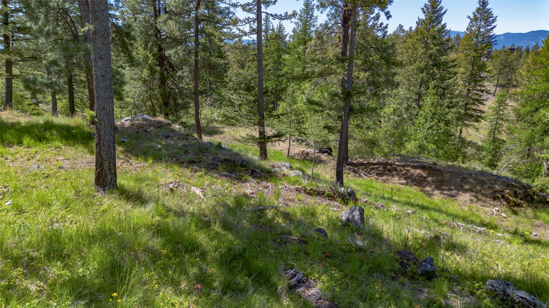 1193 Whispering Rock Road, Bigfork, MT 59911 1193 Whispering Rock Road, Bigfork, MT 59911