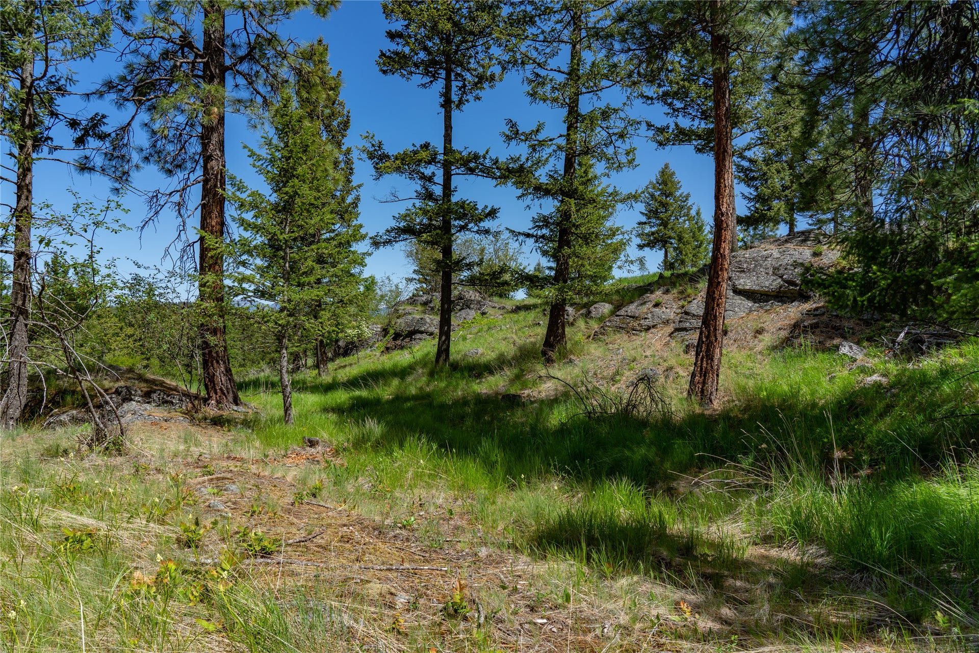 1193 Whispering Rock Road, Bigfork, MT 59911 1193 Whispering Rock Road, Bigfork, MT 59911