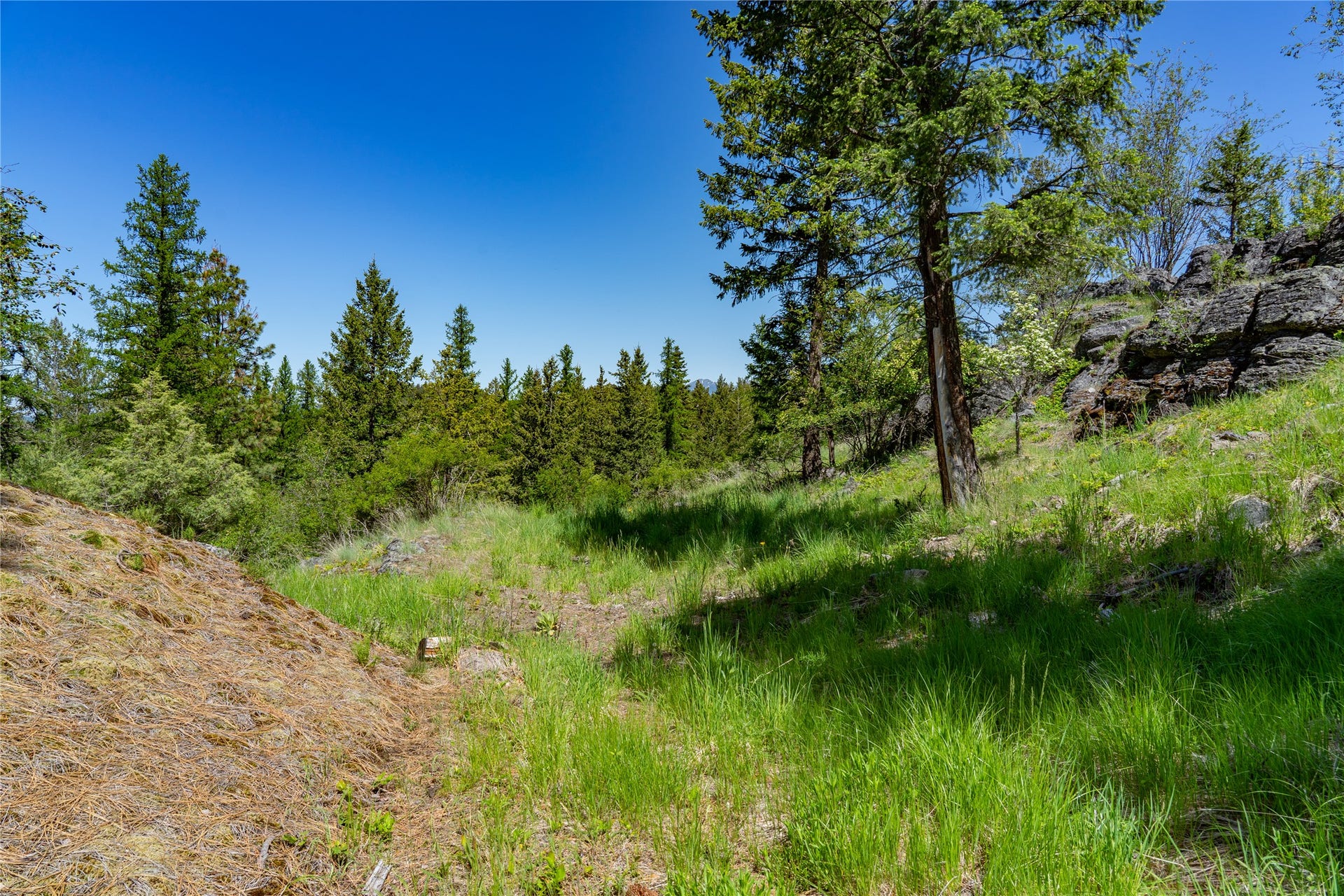 1193 Whispering Rock Road, Bigfork, MT 59911 1193 Whispering Rock Road, Bigfork, MT 59911