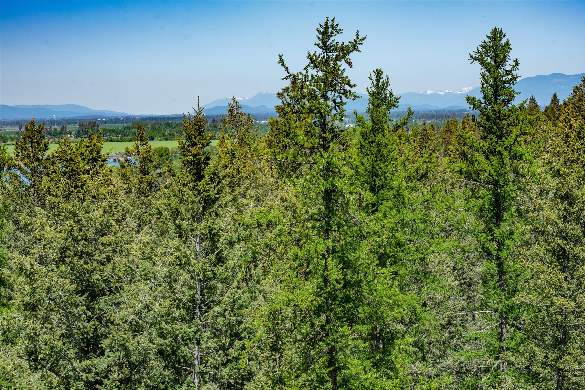 1193 Whispering Rock Road, Bigfork, MT 59911 1193 Whispering Rock Road, Bigfork, MT 59911