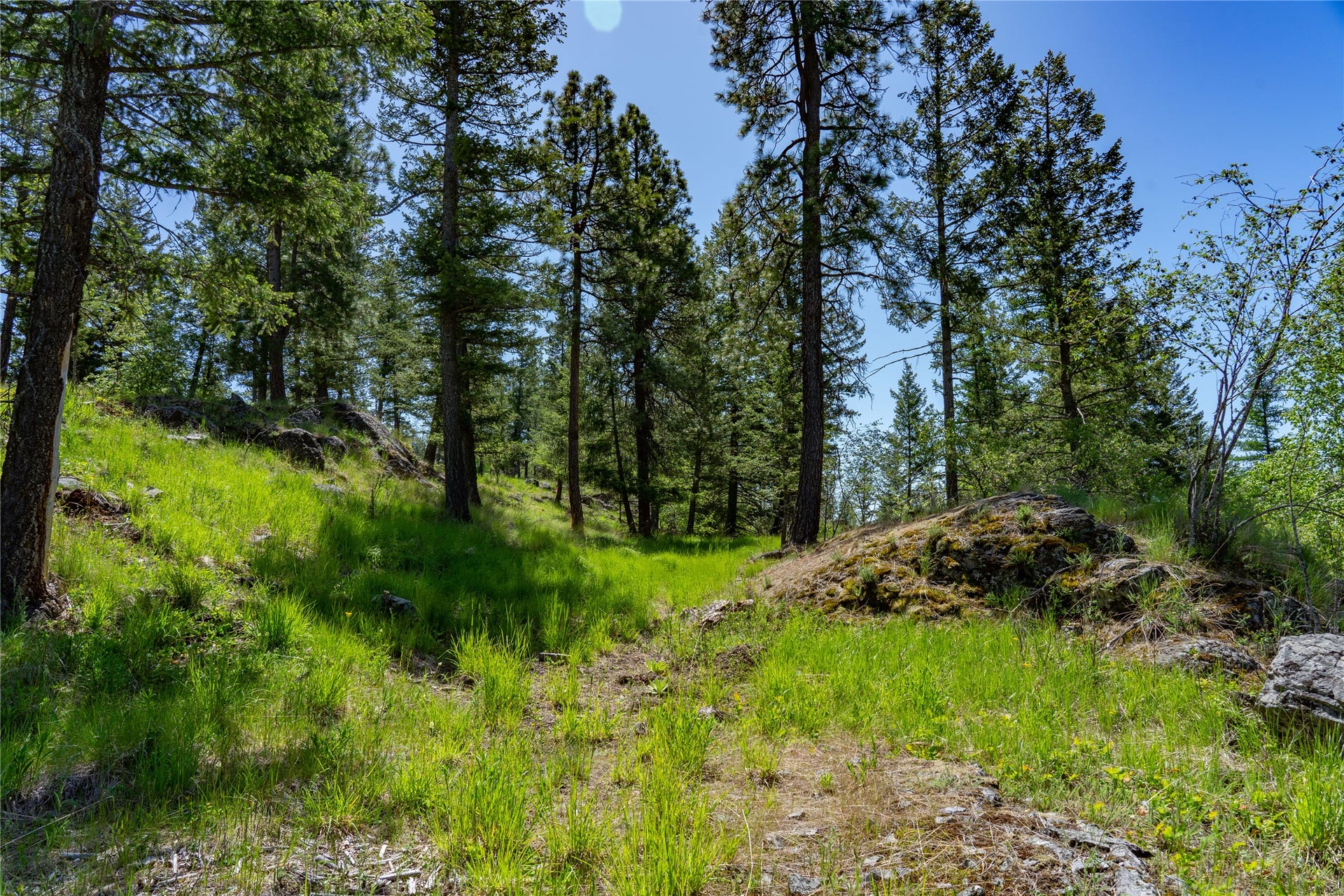 1193 Whispering Rock Road, Bigfork, MT 59911 1193 Whispering Rock Road, Bigfork, MT 59911