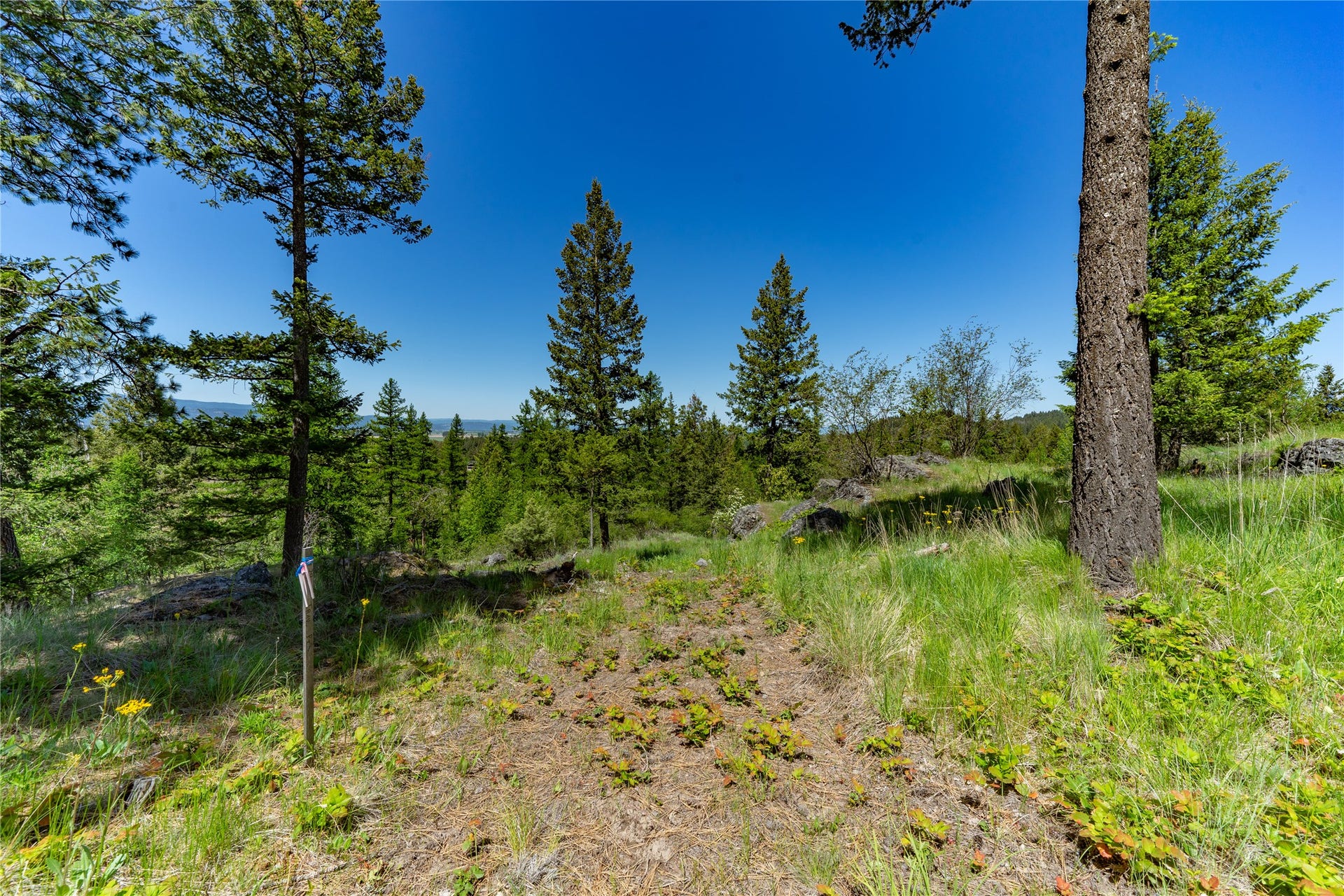 1193 Whispering Rock Road, Bigfork, MT 59911 1193 Whispering Rock Road, Bigfork, MT 59911