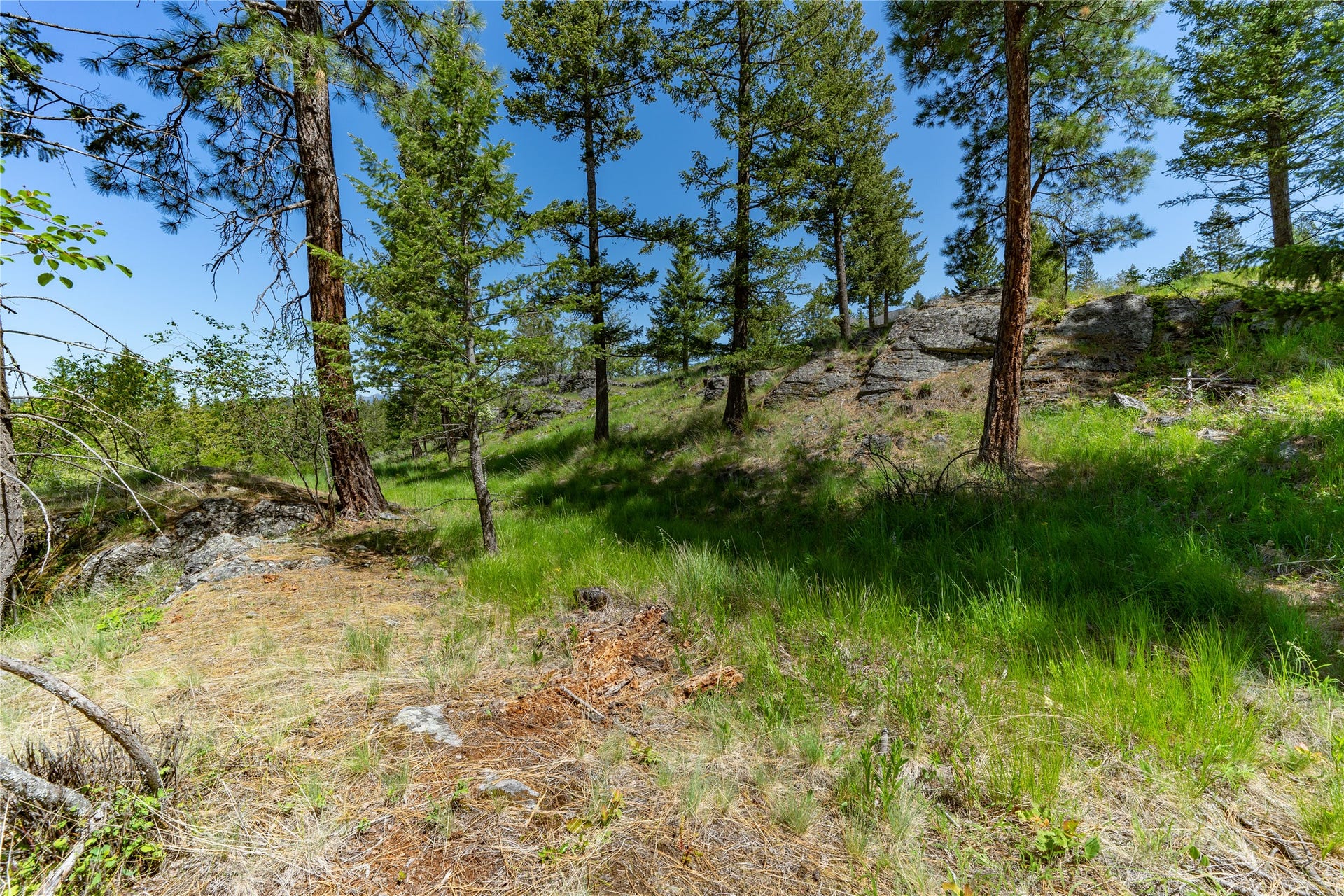 1193 Whispering Rock Road, Bigfork, MT 59911 1193 Whispering Rock Road, Bigfork, MT 59911