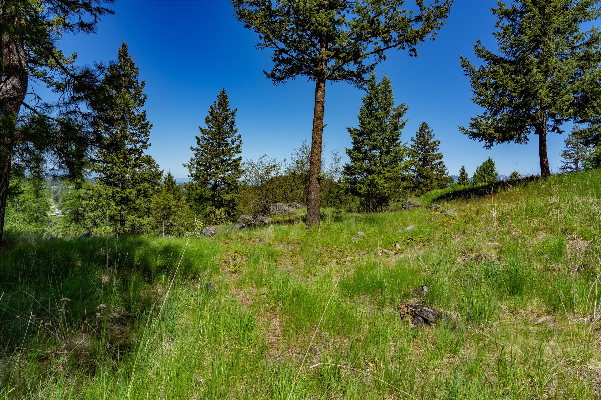 1193 Whispering Rock Road, Bigfork, MT 59911 1193 Whispering Rock Road, Bigfork, MT 59911