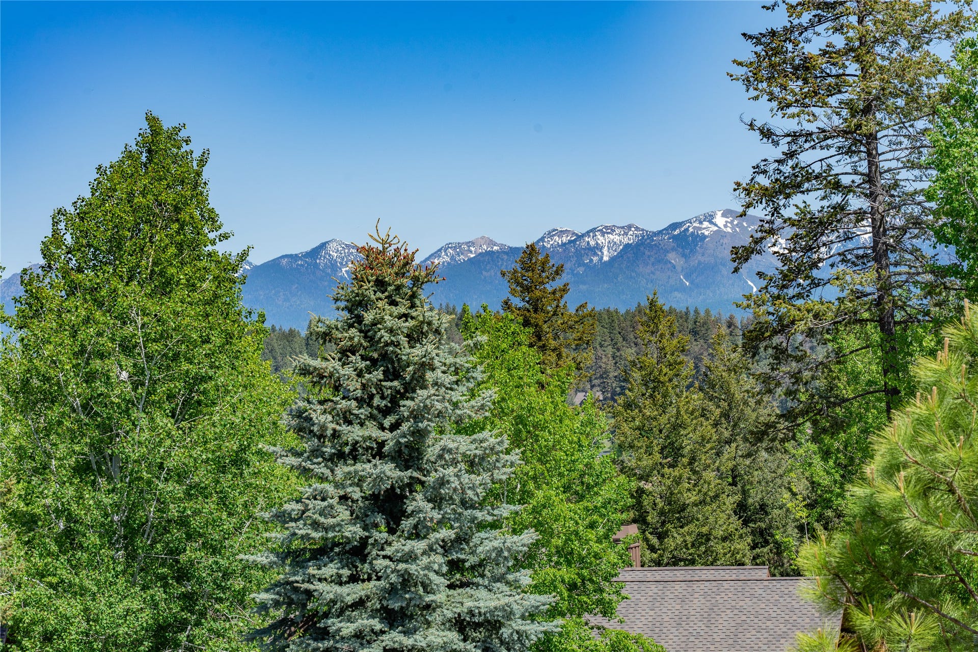 1193 Whispering Rock Road, Bigfork, MT 59911 1193 Whispering Rock Road, Bigfork, MT 59911