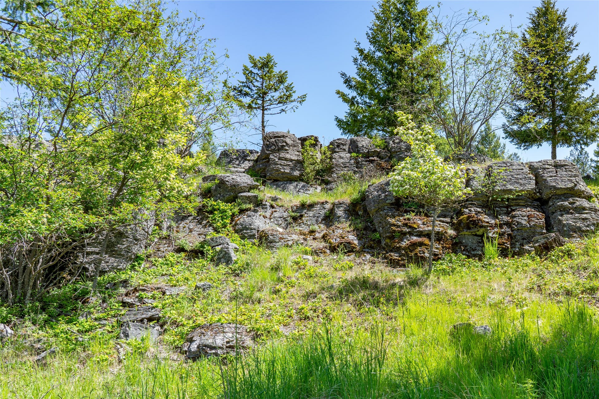 1193 Whispering Rock Road, Bigfork, MT 59911 1193 Whispering Rock Road, Bigfork, MT 59911