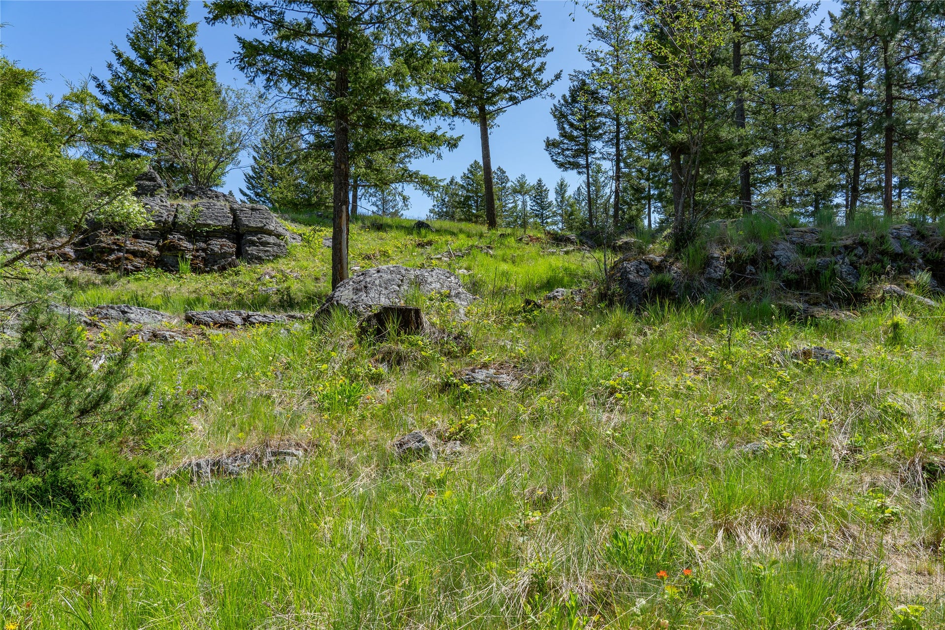 1193 Whispering Rock Road, Bigfork, MT 59911 1193 Whispering Rock Road, Bigfork, MT 59911