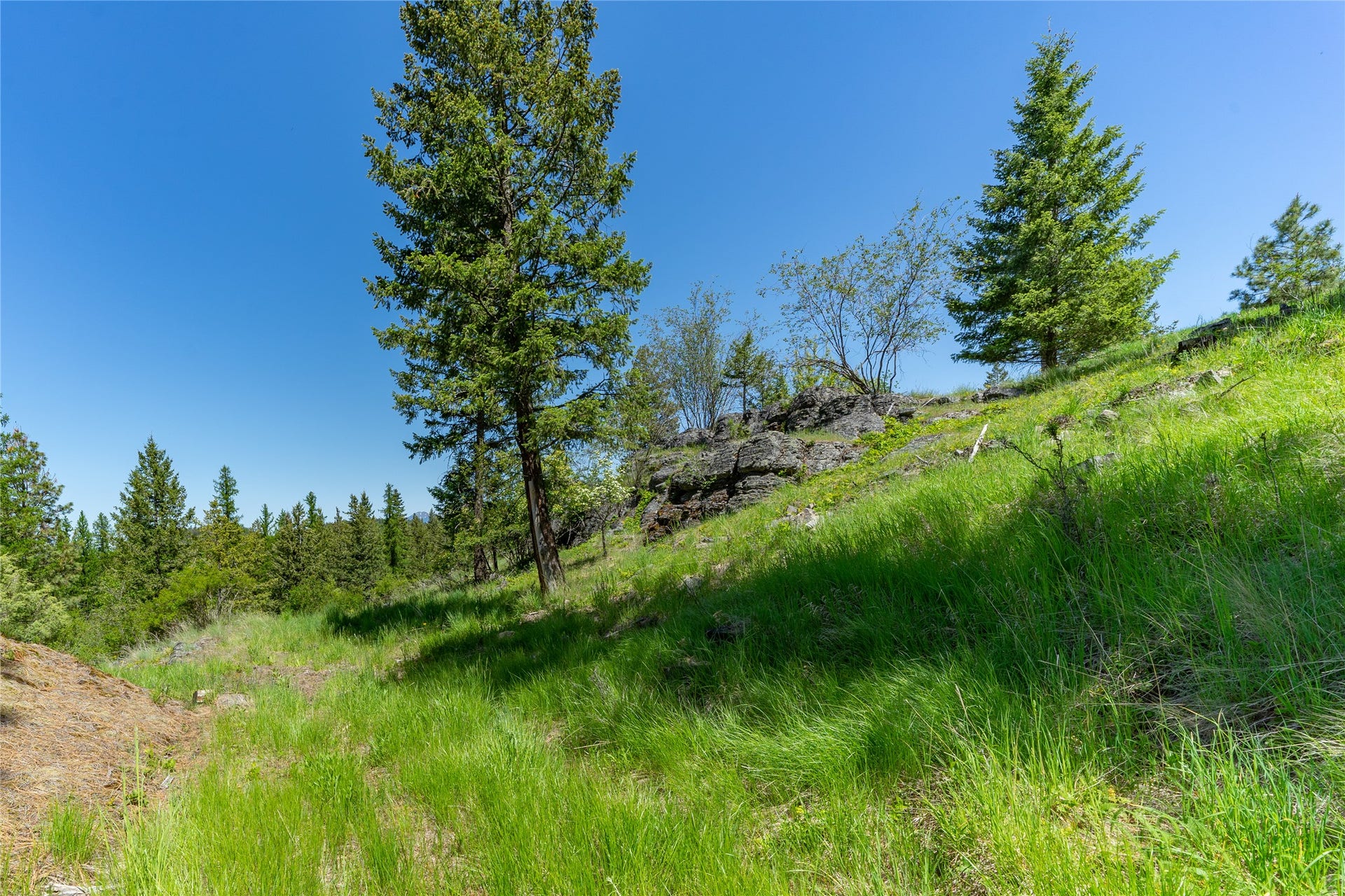 1193 Whispering Rock Road, Bigfork, MT 59911 1193 Whispering Rock Road, Bigfork, MT 59911