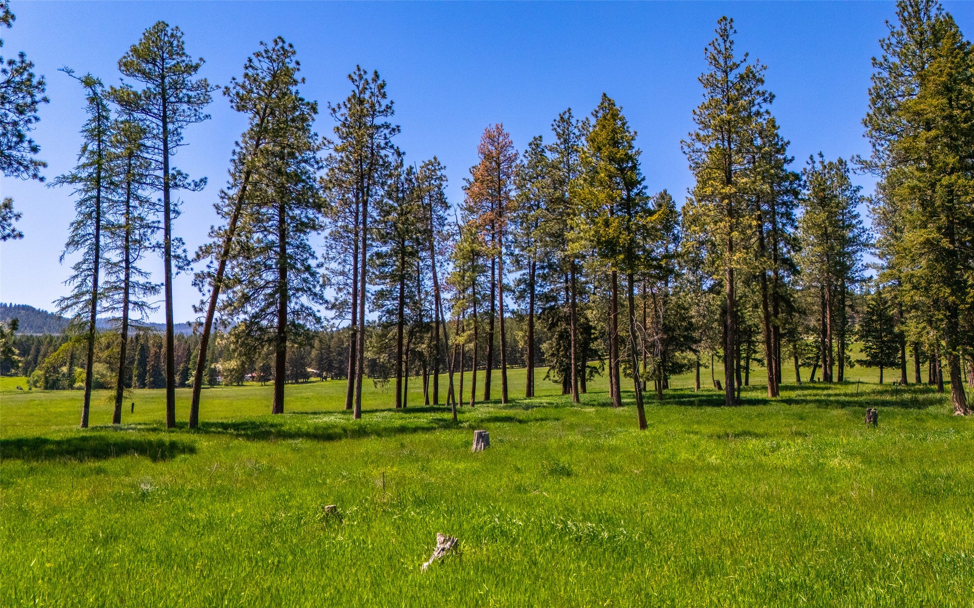 368 Danielson Road, Kalispell, MT 59901 368 Danielson Road, Kalispell, MT 59901