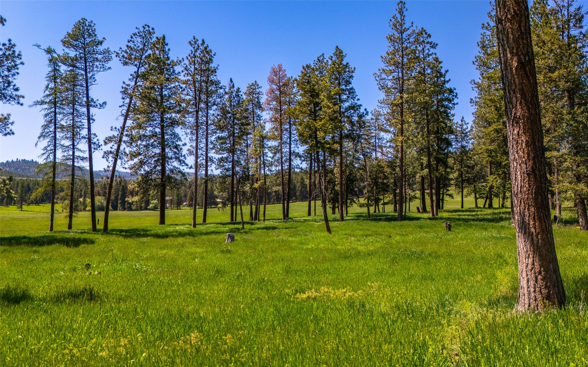 368 Danielson Road, Kalispell, MT 59901 368 Danielson Road, Kalispell, MT 59901