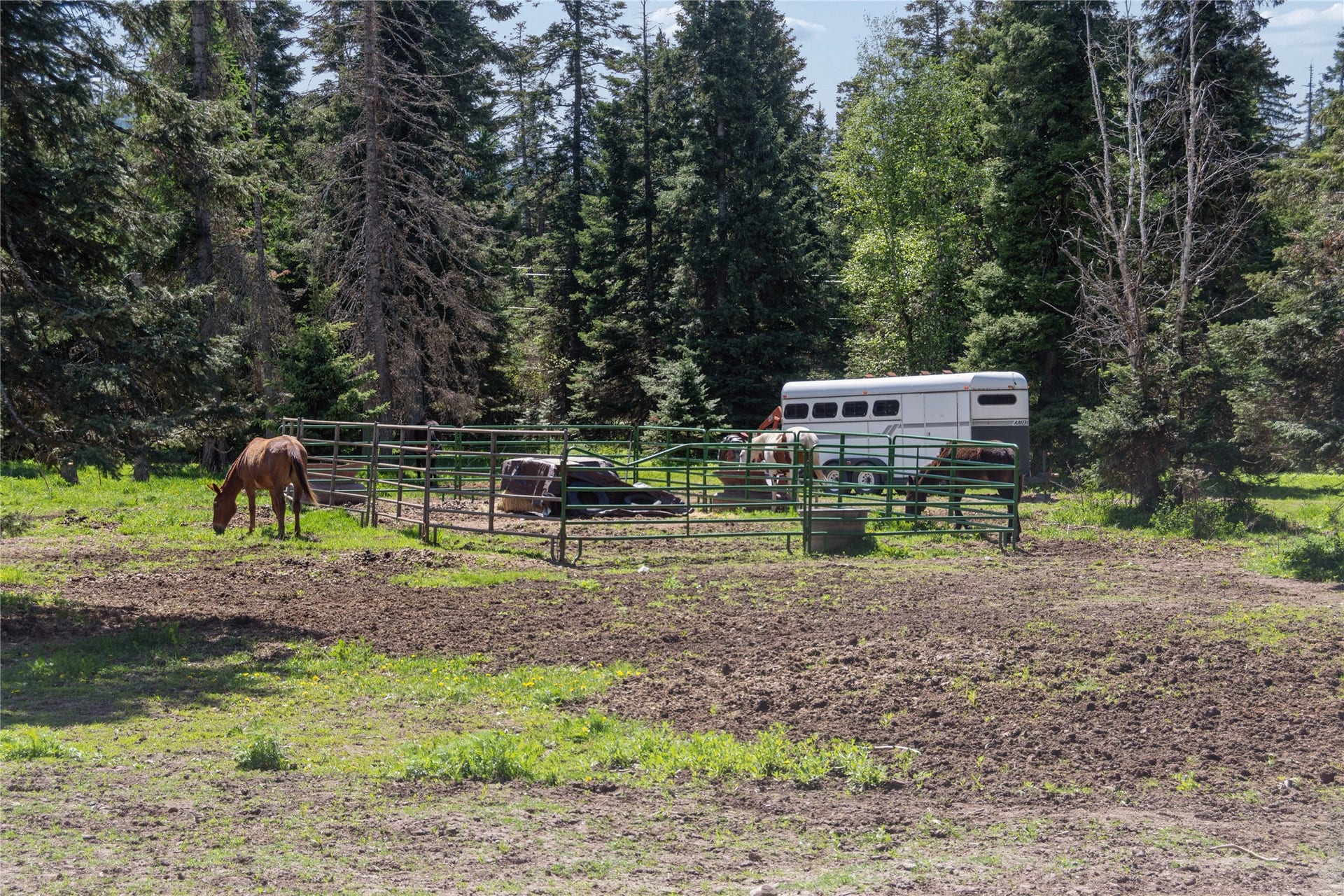 28321 Cougar Trail, Bigfork, MT 59911 28321 Cougar Trail, Bigfork, MT 59911