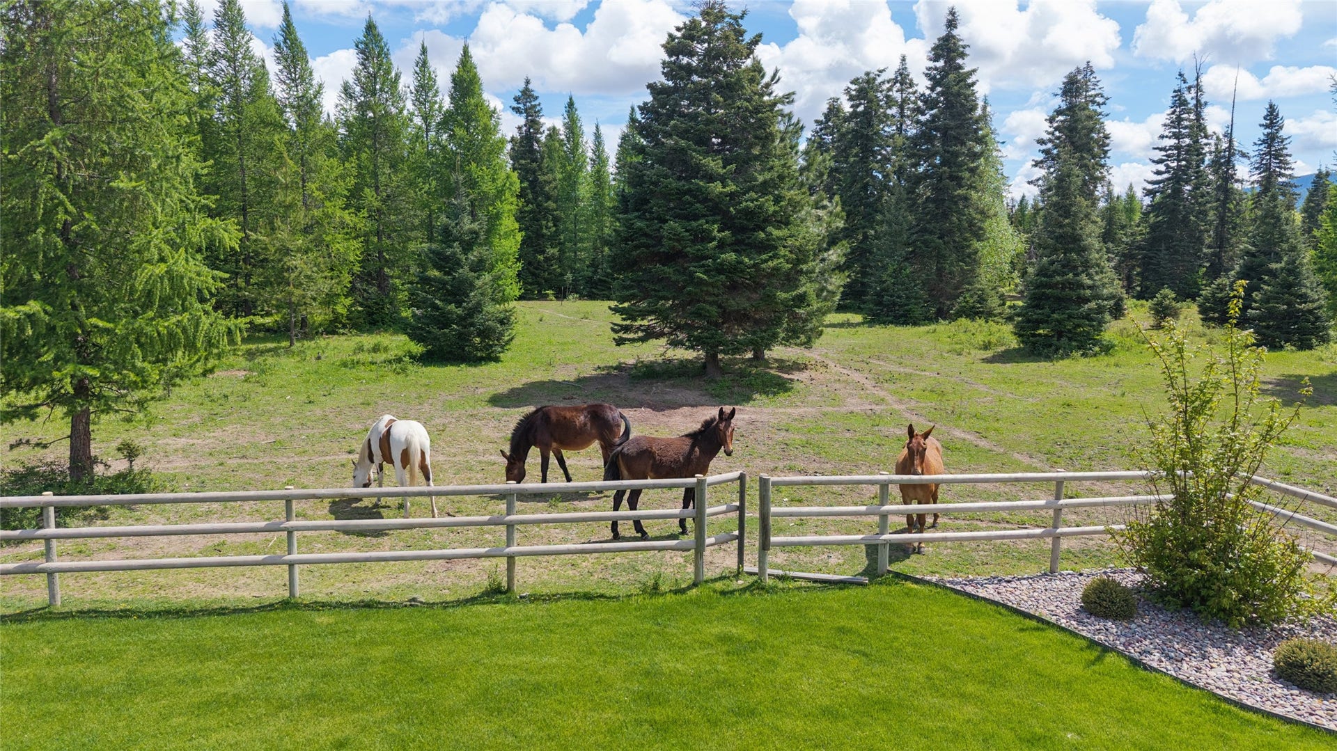 28321 Cougar Trail, Bigfork, MT 59911 28321 Cougar Trail, Bigfork, MT 59911