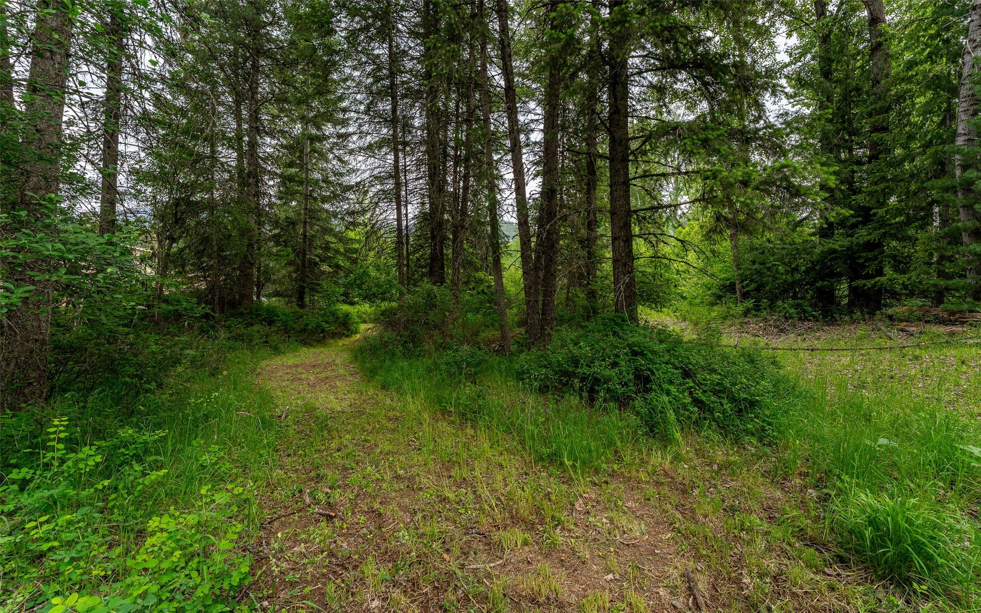 104 and 108 Remington Road, Noxon, MT 59853 104 and 108 Remington Road, Noxon, MT 59853