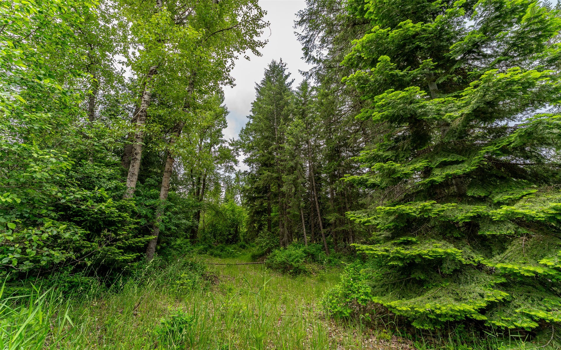 104 and 108 Remington Road, Noxon, MT 59853 104 and 108 Remington Road, Noxon, MT 59853