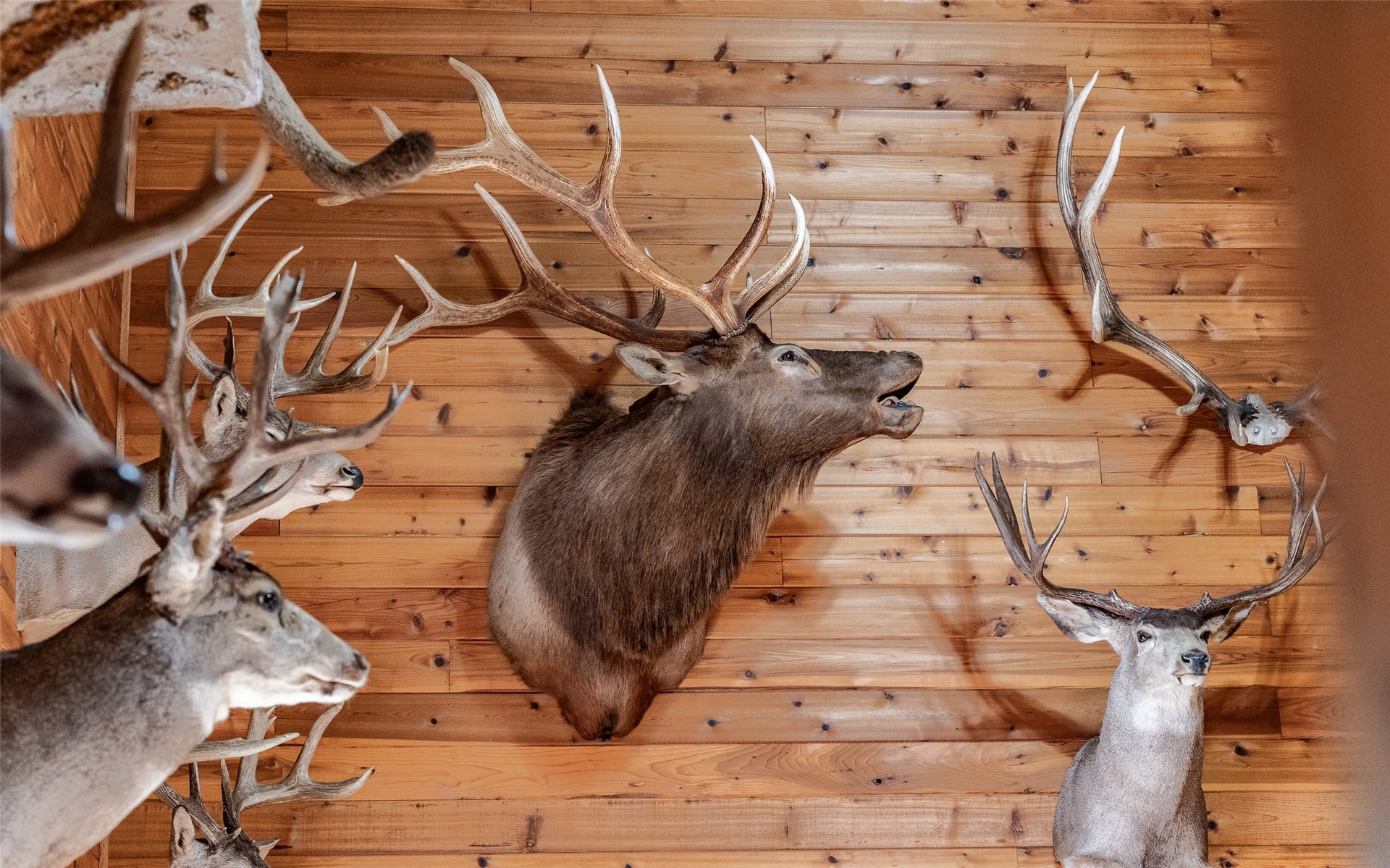 100 Remington Road, Noxon, MT 59853 100 Remington Road, Noxon, MT 59853