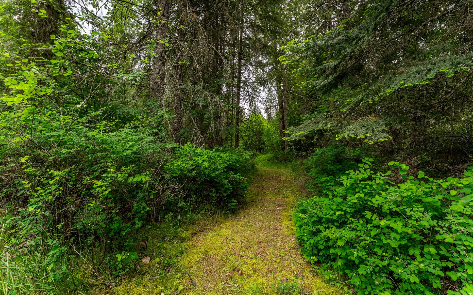 100, 104, 108 Remington Road, Noxon, MT 59853 100, 104, 108 Remington Road, Noxon, MT 59853