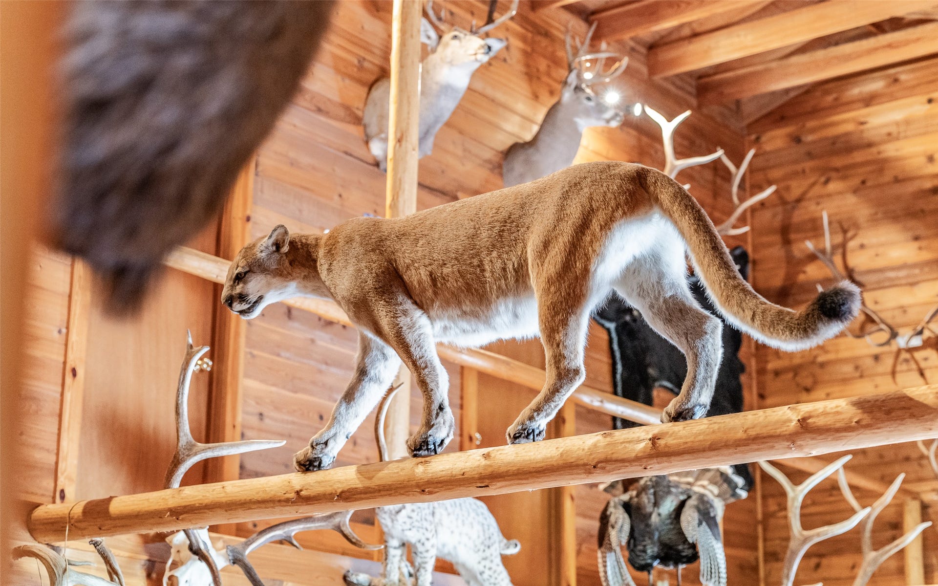 100, 104, 108 Remington Road, Noxon, MT 59853 100, 104, 108 Remington Road, Noxon, MT 59853
