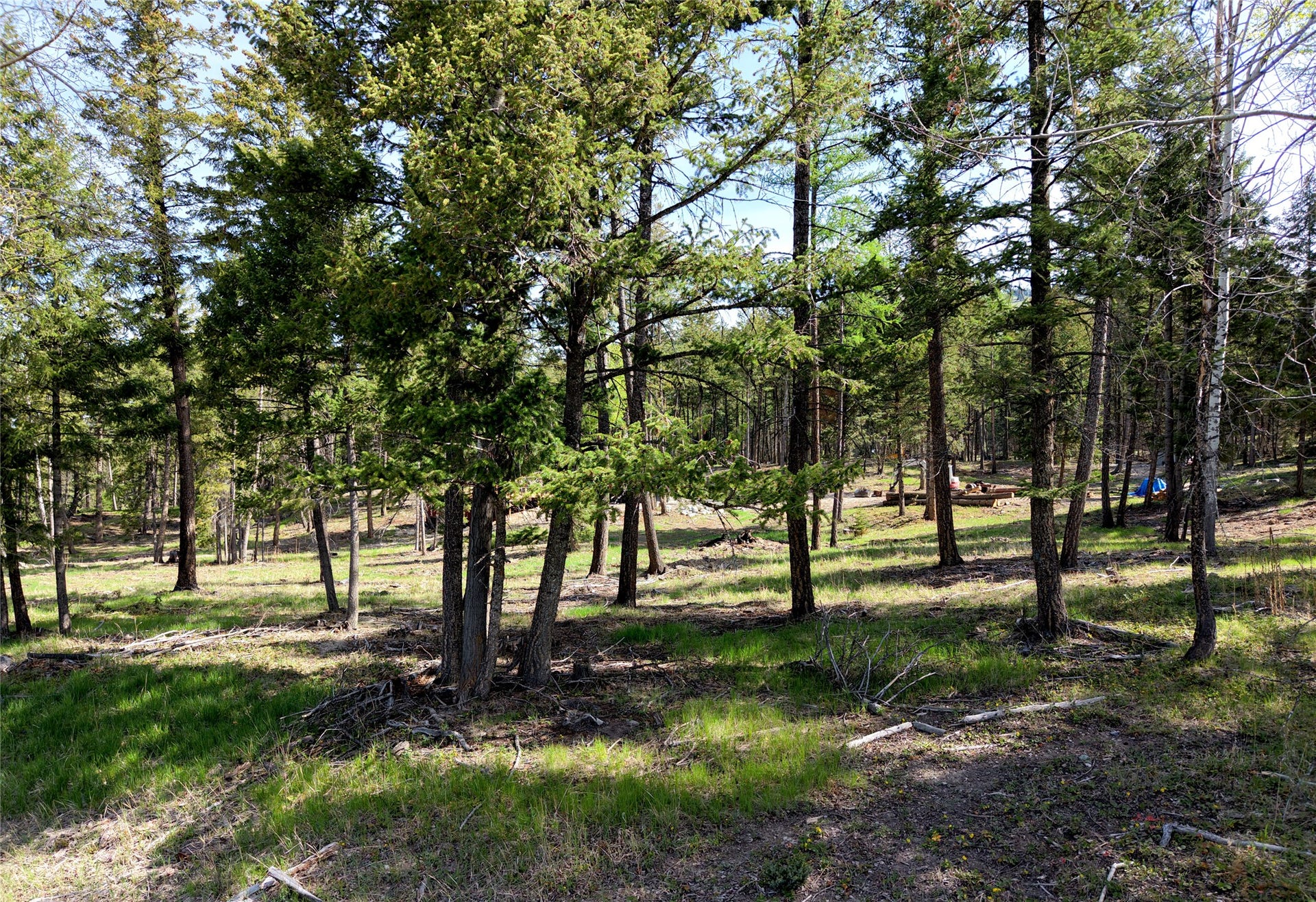1782 Truman Creek Road, Kila, MT 59920 1782 Truman Creek Road, Kila, MT 59920
