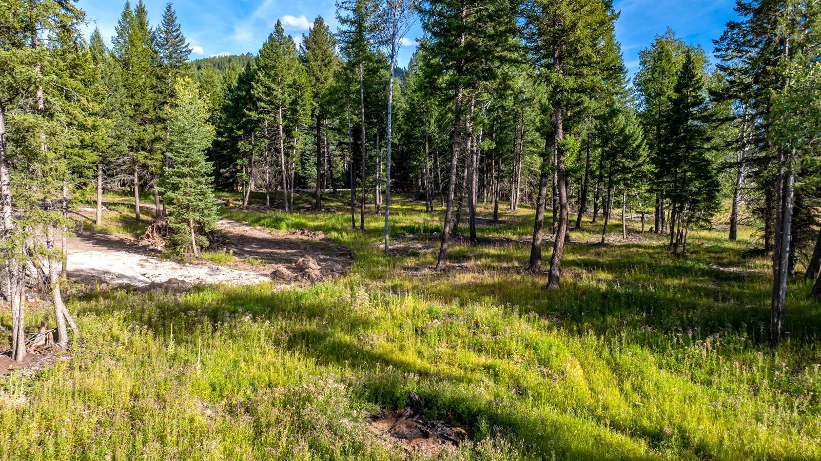 1782 Truman Creek Road, Kila, MT 59920 1782 Truman Creek Road, Kila, MT 59920
