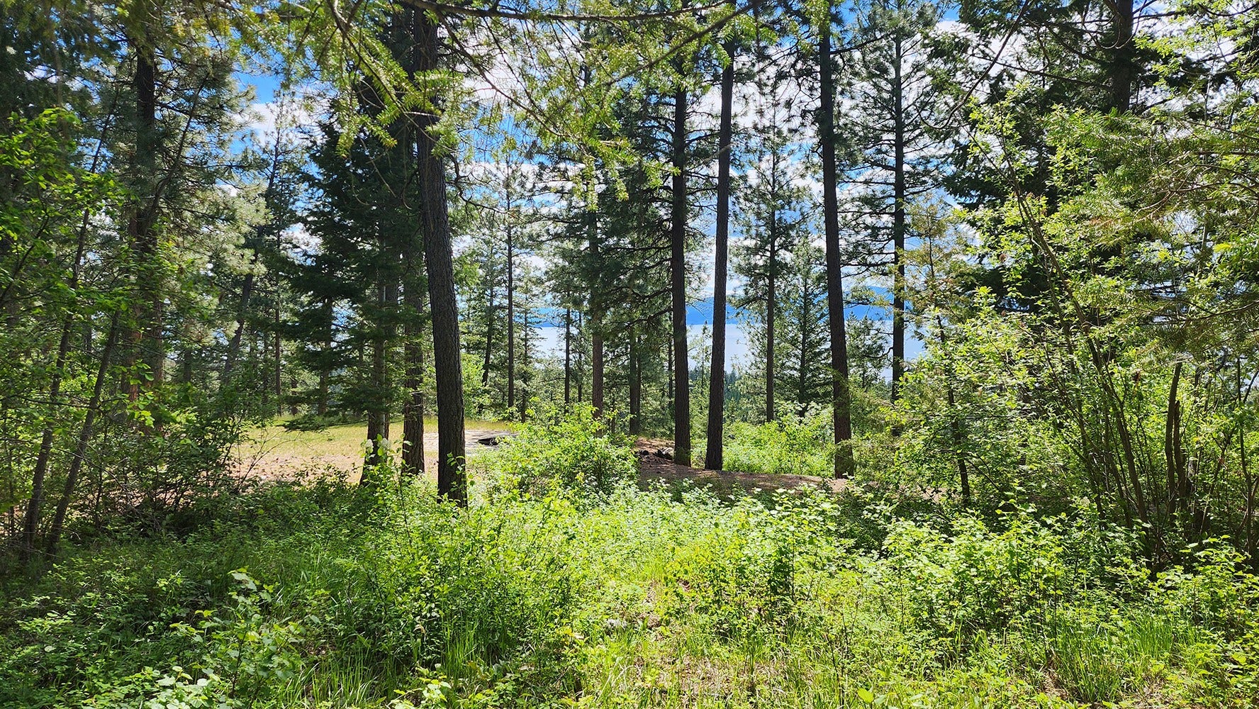 31683 Lake To Sky Drive, Bigfork, MT 59911 31683 Lake To Sky Drive, Bigfork, MT 59911