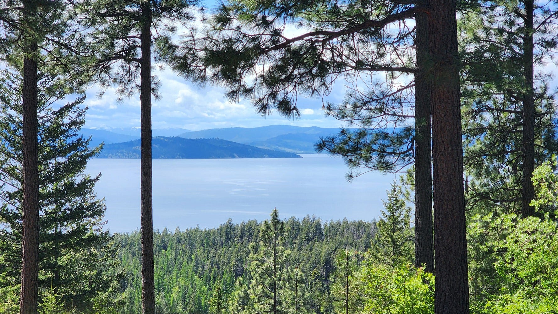 31683 Lake To Sky Drive, Bigfork, MT 59911 31683 Lake To Sky Drive, Bigfork, MT 59911