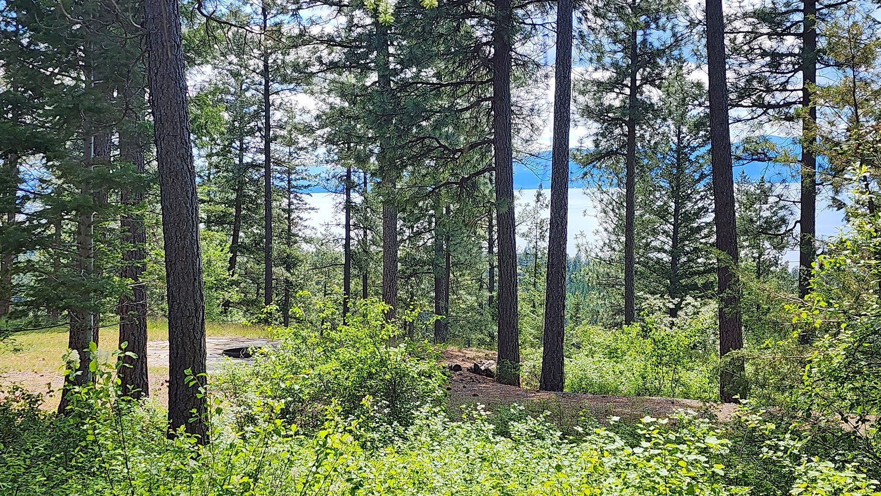 31683 Lake To Sky Drive, Bigfork, MT 59911 31683 Lake To Sky Drive, Bigfork, MT 59911