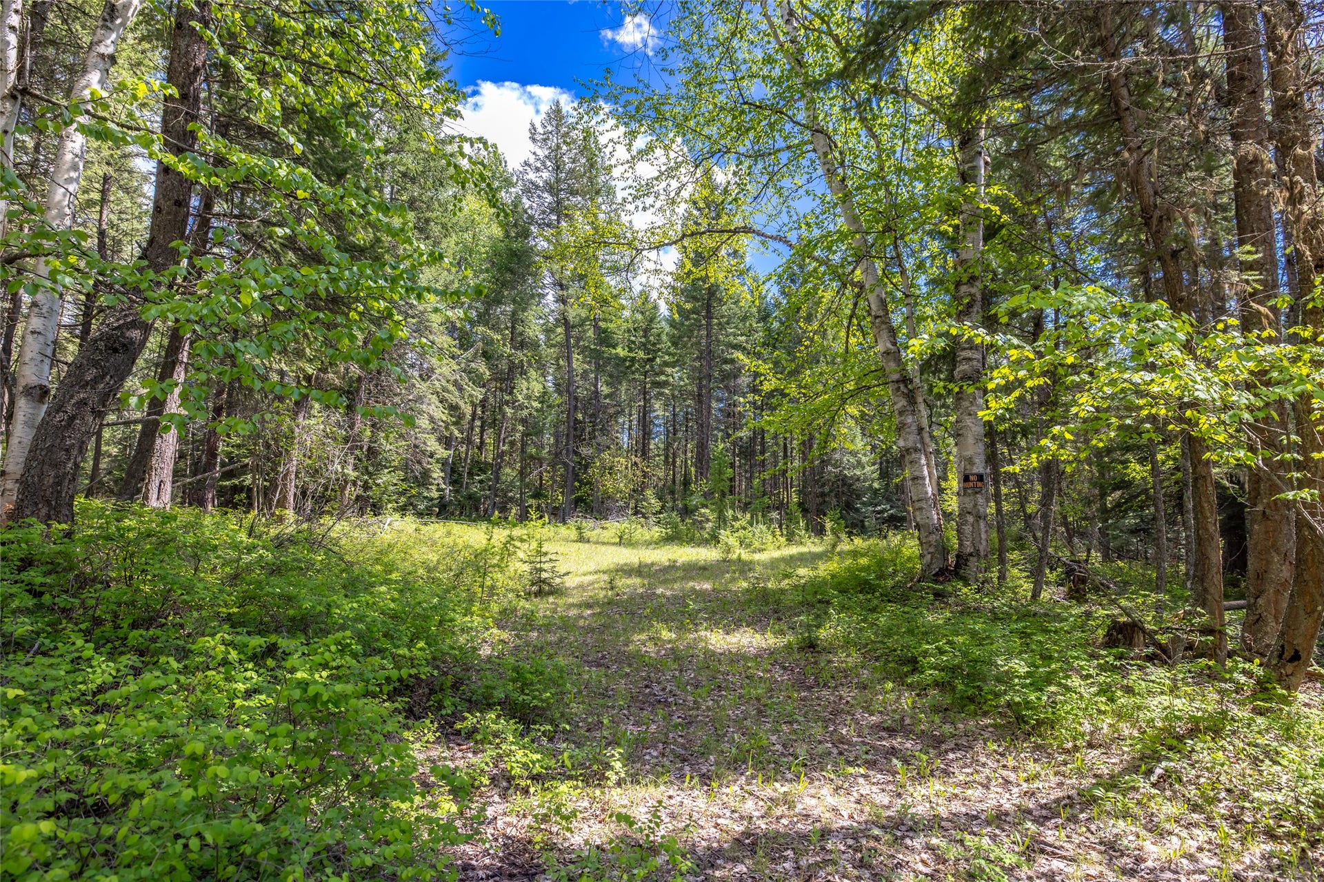 Nhn Red Hawk Drive, Bigfork, MT 59911 Nhn Red Hawk Drive, Bigfork, MT 59911