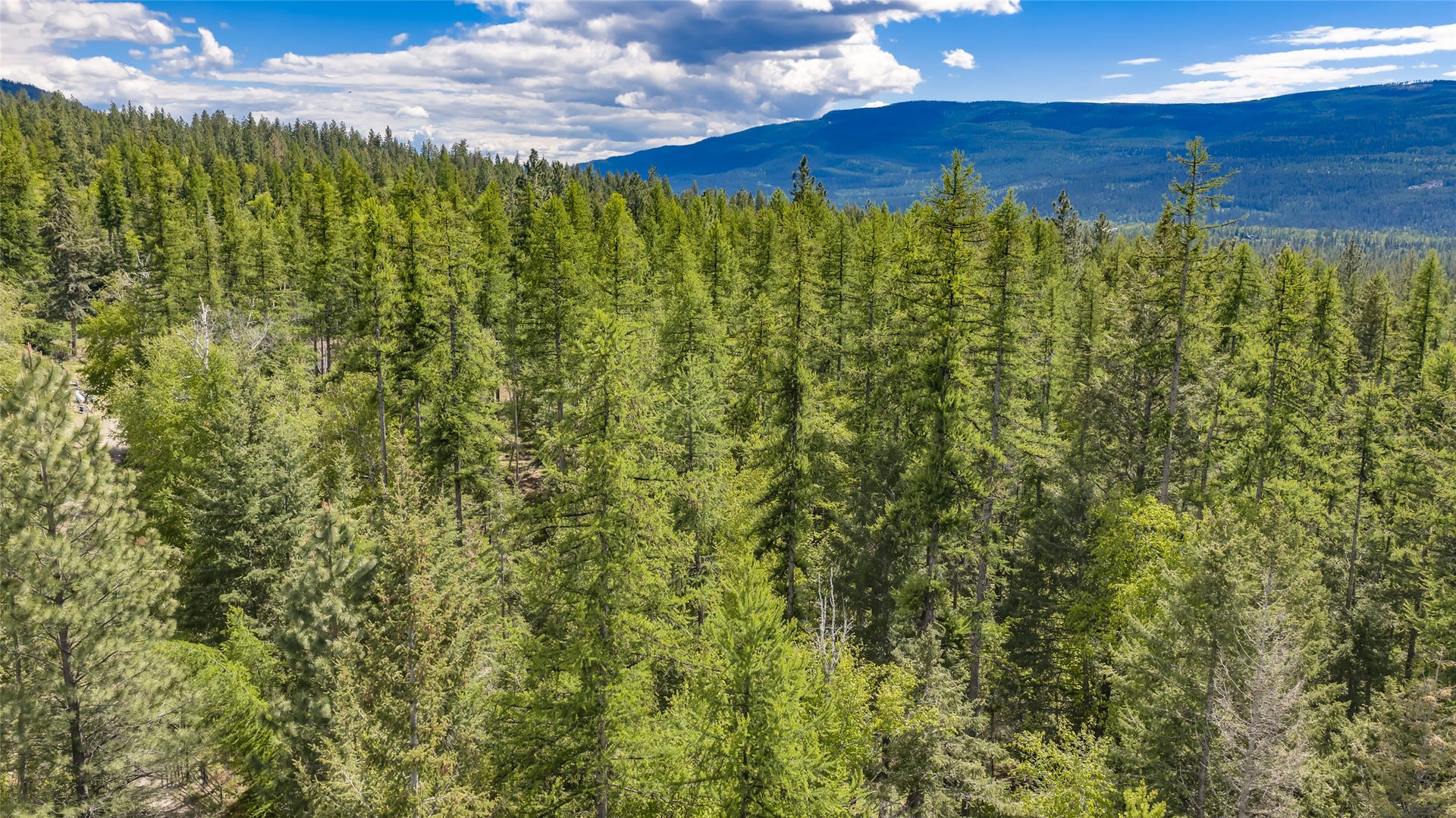 Nhn Red Hawk Drive, Bigfork, MT 59911 Nhn Red Hawk Drive, Bigfork, MT 59911