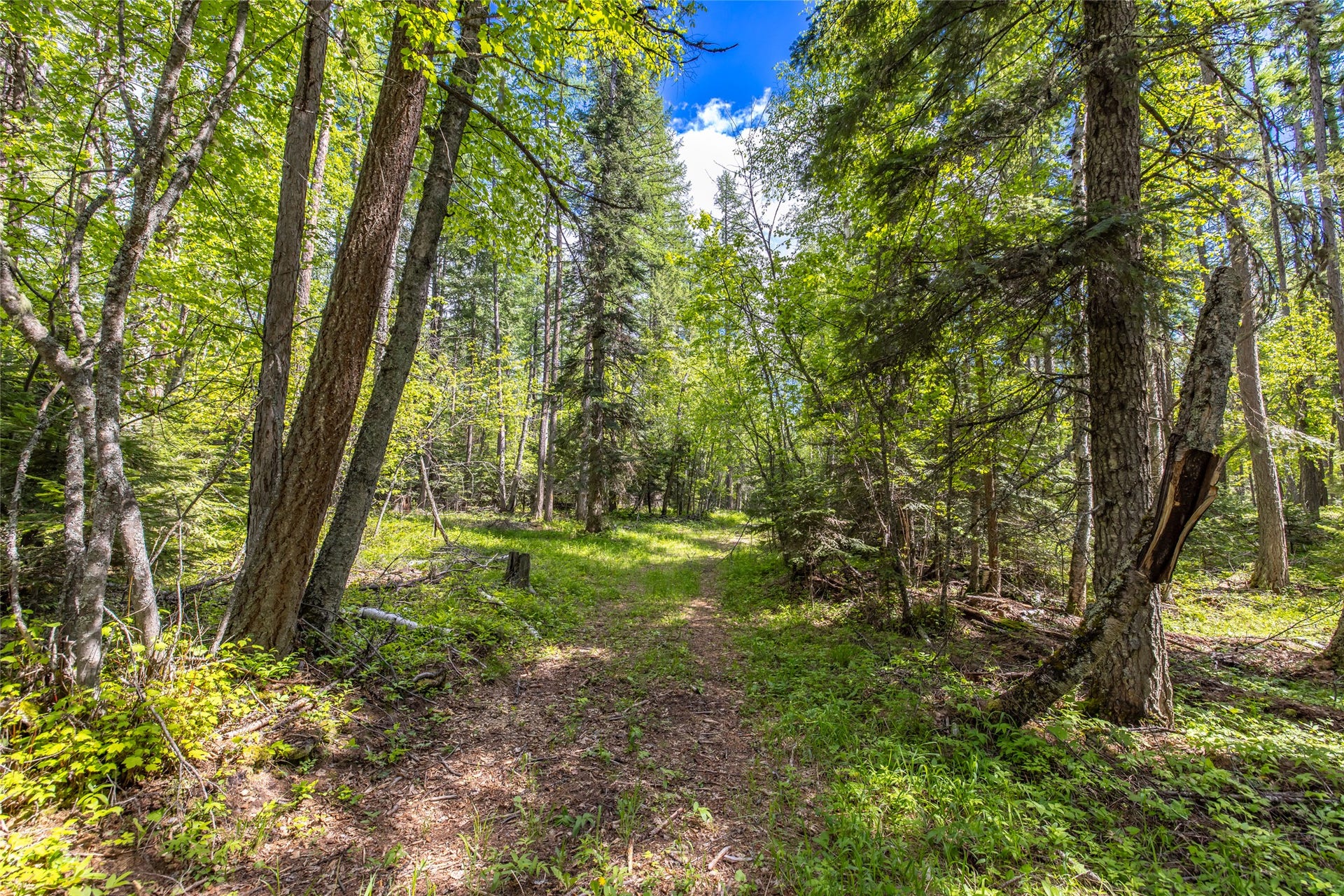 Nhn Red Hawk Drive, Bigfork, MT 59911 Nhn Red Hawk Drive, Bigfork, MT 59911