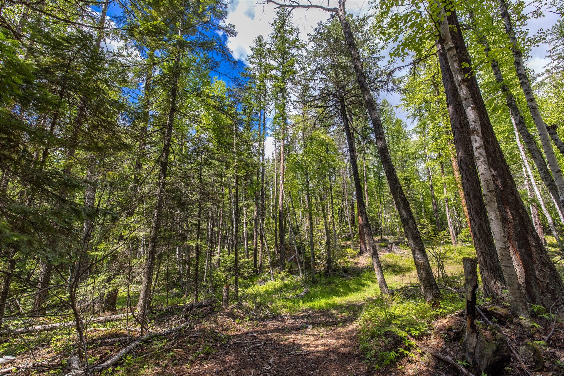 Nhn Red Hawk Drive, Bigfork, MT 59911 Nhn Red Hawk Drive, Bigfork, MT 59911