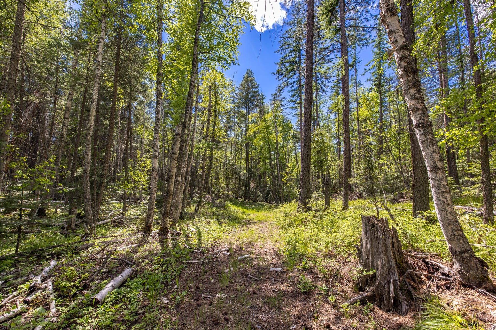 Nhn Red Hawk Drive, Bigfork, MT 59911 Nhn Red Hawk Drive, Bigfork, MT 59911