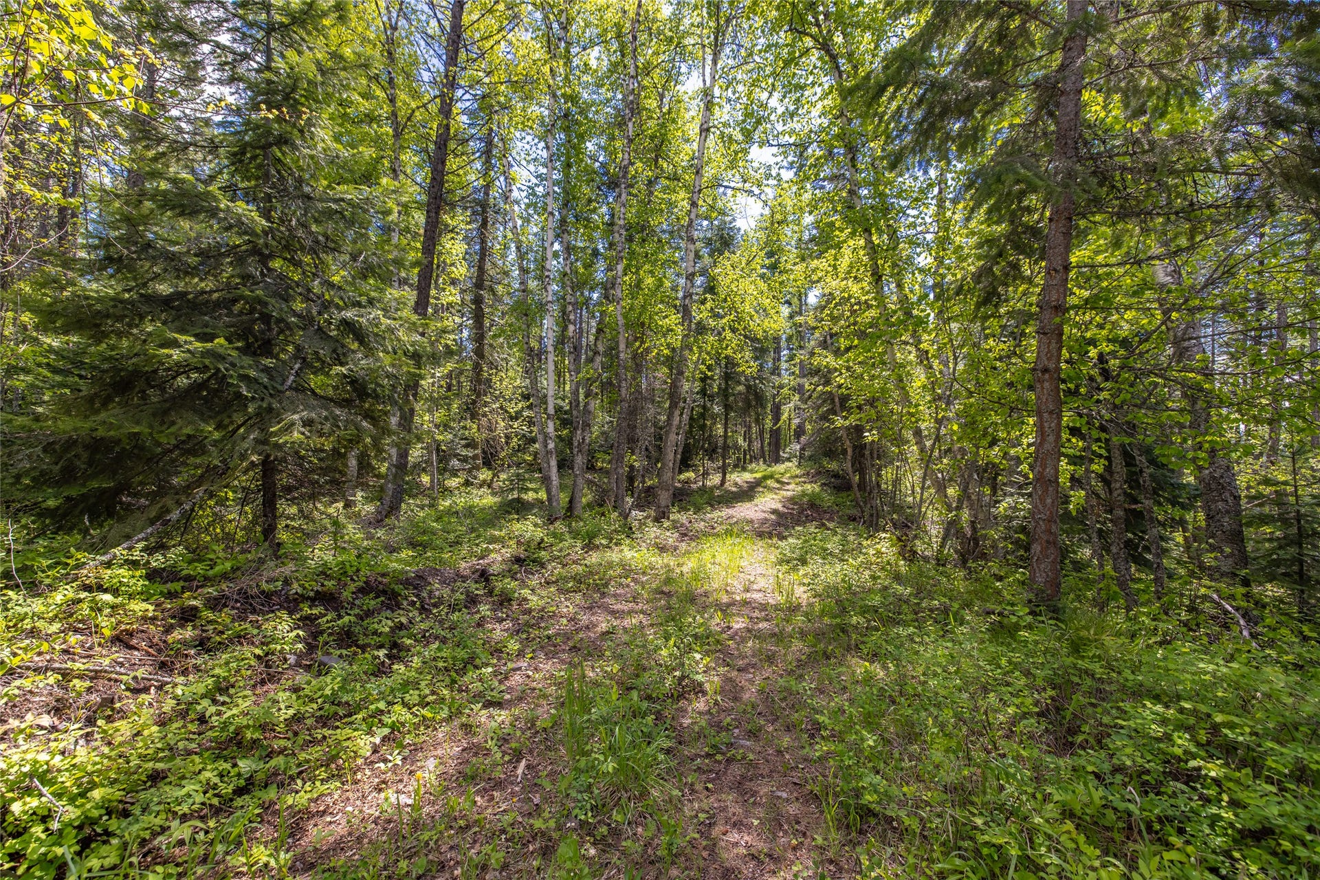 Nhn Red Hawk Drive, Bigfork, MT 59911 Nhn Red Hawk Drive, Bigfork, MT 59911