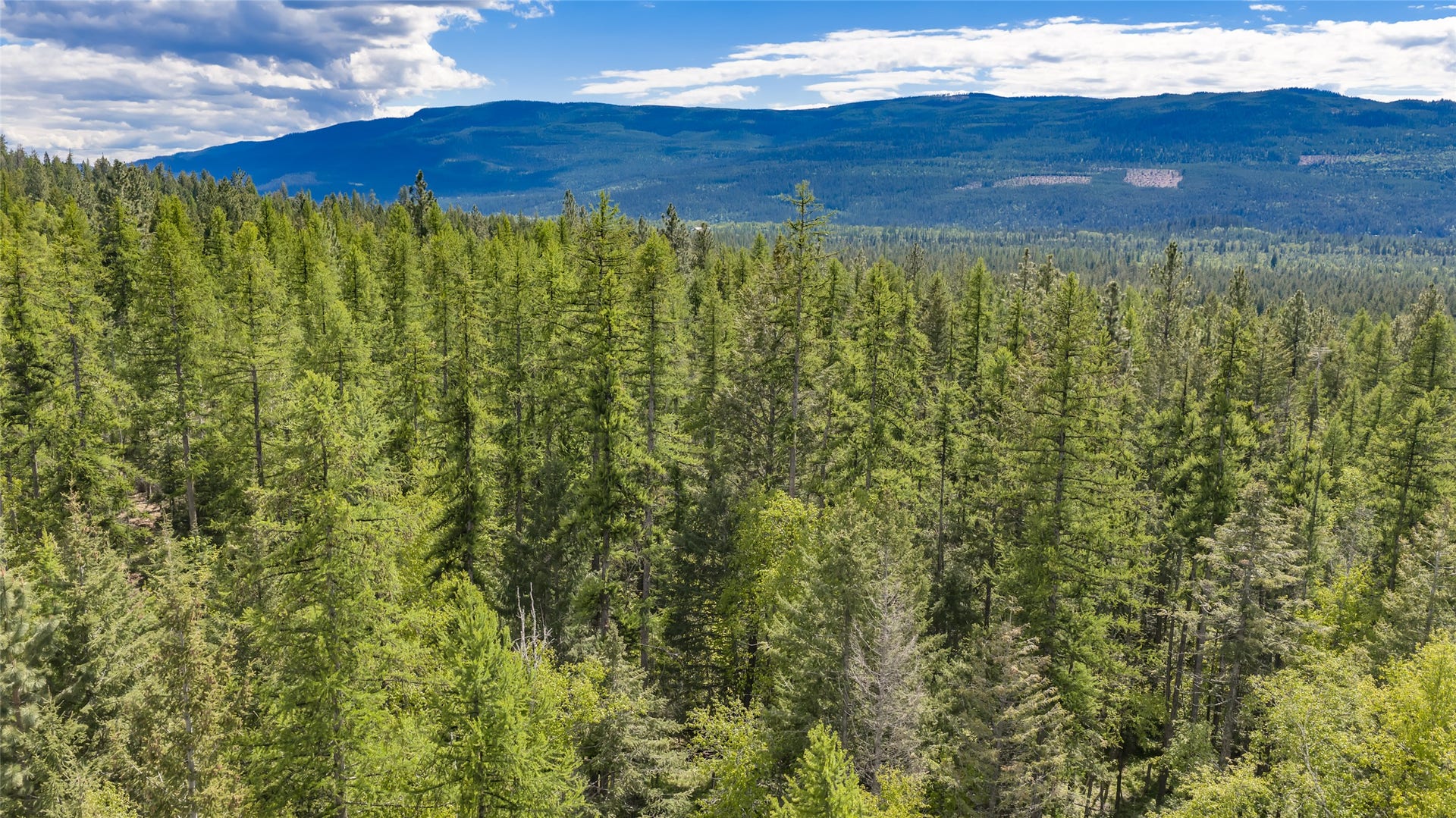Nhn Red Hawk Drive, Bigfork, MT 59911 Nhn Red Hawk Drive, Bigfork, MT 59911