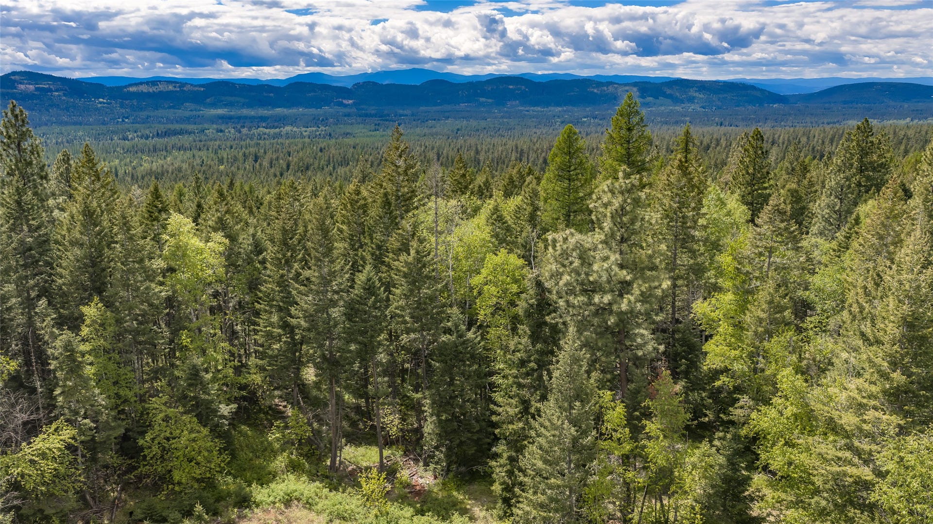 Nhn Red Hawk Drive, Bigfork, MT 59911 Nhn Red Hawk Drive, Bigfork, MT 59911