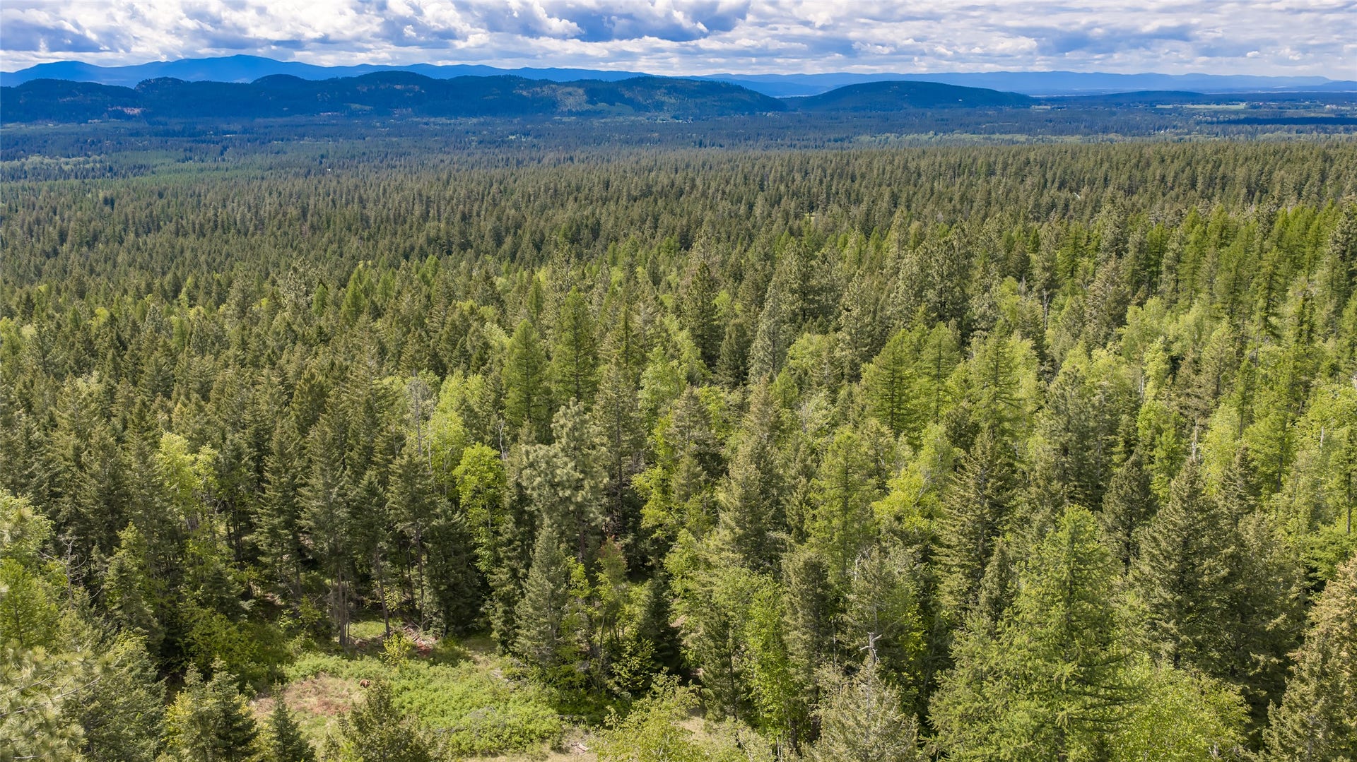 Nhn Red Hawk Drive, Bigfork, MT 59911 Nhn Red Hawk Drive, Bigfork, MT 59911