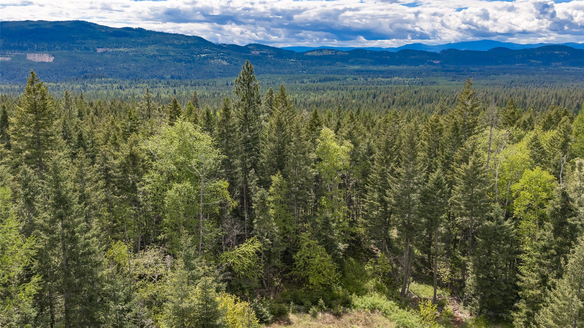 Nhn Red Hawk Drive, Bigfork, MT 59911 Nhn Red Hawk Drive, Bigfork, MT 59911